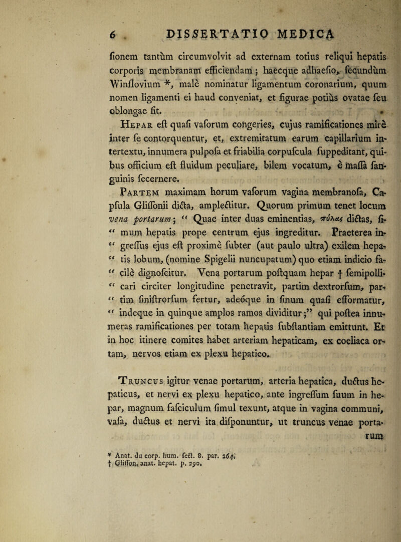 (Ionem tantum circumvolvit ad externam totius reliqui hepatis corporis membranam efficiendam; haecque adhaefio* fecundum Winflovium *, male nominatur ligamentum coronarium, quum nomen ligamenti ei haud conveniat, et figurae potius ovatae feu oblongae fit. • Hepar eft quafi vaforum congeries, cujus ramificationes mire inter fe contorquentur, et, extremitatum earum capillarium in¬ tertextu, innumera pulpofa et friabilia corpufcula fuppeditant, qui¬ bus officium eft fluidum peculiare, bilem vocatum, e mada fan- guinis fecernere. Partem maximam horum vaforum vagina membranofa, Ca- pfula Gliflonii difta, ample&itur. Quorum primum tenet locum vena 'portarum; “ Quae inter duas eminentias, di&as, fi- “ mum hepatis prope centrum ejus ingreditur. Praeterea in- “ greflus ejus eft proxime fubter (aut paulo ultra) exilem hepa-* €t tis lobum, (nomine Spigelii nuncupatum) quo etiam indicio fa- “ cile dignofcitur. Vena portarum poftquam hepar f femipolli- cari circiter longitudine penetravit, partim dextrorfum, par- “ tim finiftrorfum fertur, adeoque in (Inum quafi efFormatur, “ indeque in quinque amplos ramos dividitur j” qui poftea innu¬ meras ramificationes per totam hepatis fubftantiam emittunt. Et in hoc itinere comites habet arteriam hepaticam, ex coeliaca or¬ tam, nervos etiam ex plexu hepatico. Truncus igitur venae portarum, arteria hepatica, duftus he¬ paticus, et nervi ex plexu hepatico, ante ingreffitm fuum in he¬ par, magnum fafciculum fimul texunt, atque in vagina communi, vafa, duftus et nervi ita difponuntur, ut truncus venae porta¬ rum * Anat. du corp. hum. feft. 8. par. 264,’ | Gliflon. anat. hepat. p. 250,