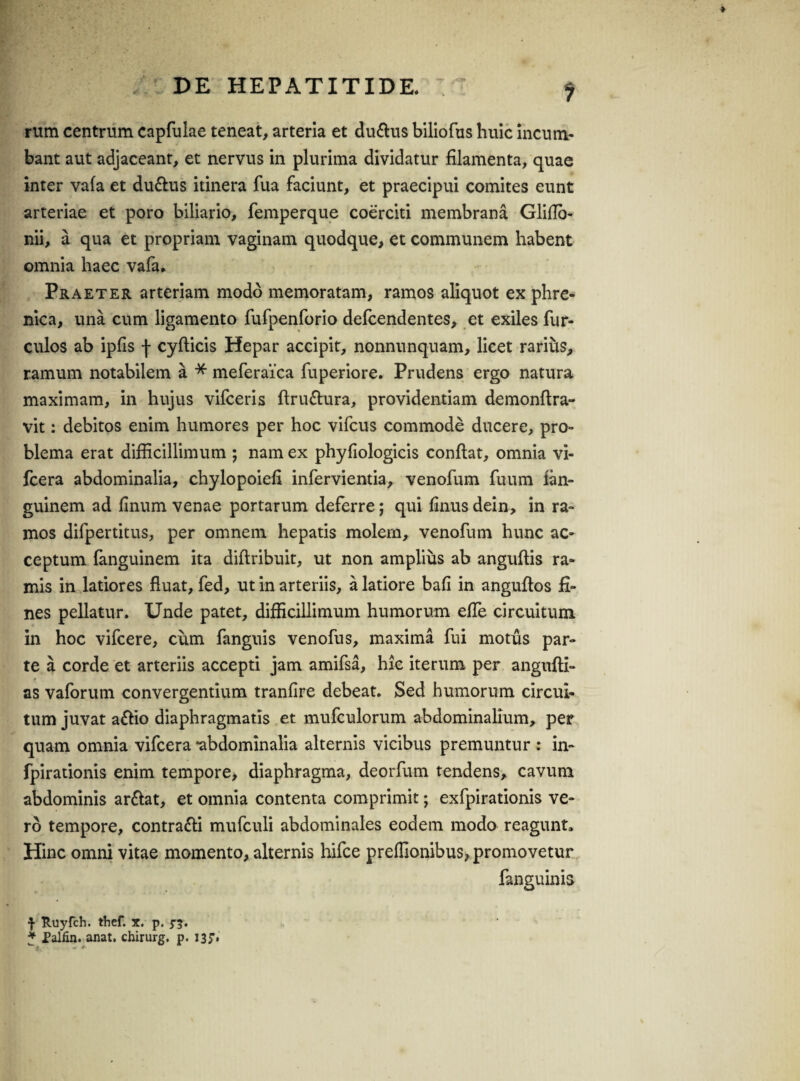 rum centrum capfulae teneat, arteria et du&us biliofus huic incum¬ bant aut adjaceant, et nervus in plurima dividatur filamenta, quae inter vafa et du&us itinera fua faciunt, et praecipui comites eunt arteriae et poro biliario, femperque coerciti membrana Glifio- nii, a qua et propriam vaginam quodque, et communem habent omnia haec vafa. Praeter arteriam modo memoratam, ramos aliquot ex phre¬ nica, una cum ligamento fufpenforio defcendentes, et exiles fur- culos ab ipfis j* cyfticis Hepar accipit, nonnunquam, licet rarius, ramum notabilem a * meferaica fuperiore. Prudens ergo natura maximam, in hujus vifceris flru&ura, providentiam demonflra- vit: debitos enim humores per hoc vifcus commode ducere, pro¬ blema erat difficillimum ; nam ex phyfiologicis conflat, omnia vi- fcera abdominalia, chylopoiefi infervientia, venofum fuum lan- guinem ad finum venae portarum deferre; qui finus dein, in ra¬ mos difpertitus, per omnem hepatis molem, venofum hunc ac¬ ceptum fanguinem ita diflribuit, ut non amplius ab anguflis ra¬ mis in latiores fluat, fed, ut in arteriis, a latiore bafi in anguflos fi¬ nes pellatur. Unde patet, difficillimum humorum effe circuitum in hoc vifcere, cum fanguis venofus, maxima fui motus par¬ te a corde et arteriis accepti jam amifsa, hic iterum per angufli- as vaforum convergentium tranfire debeat. Sed humorum circui¬ tum juvat a&io diaphragmatis et mufculorum abdominalium, per quam omnia vifcera -abdominalia alternis vicibus premuntur : in- fpirationis enim tempore, diaphragma, deorfum tendens, cavum abdominis ar&at, et omnia contenta comprimit; exfpirationis ve¬ ro tempore, contra&i mufculi abdominales eodem modo reagunt» Hinc omni vitae momento, alternis hifce preflionibus, promovetur fanguinis f Ruyfch. thef. t. p. 5-5. * Paliia. anat. chirurg. p. 135-.