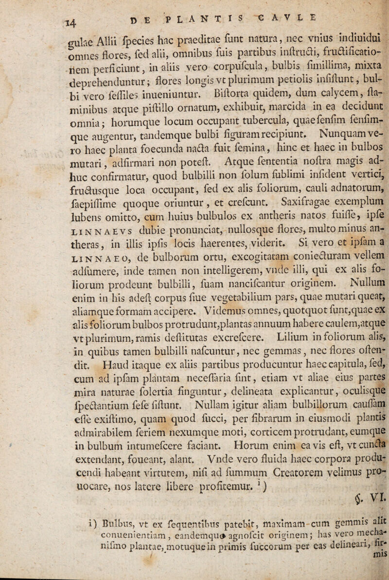 14 D E P L A N T I s C A V L E gulae Allii fpecies hac praeditae flint natura, nec vnlus Indluldui omne? flores, fed alii, omnibus fuis partibus inflriiai, frudiflcatio- liem perficiunt, in aliis vero corpuTcula, bulbis fimillima, mixta deprehenduntur; flores longisvtplurimum petiolis Inriflunt, bul¬ bi vero fefliles inueniuntur. Biflorta quidem, dum calycem, fla¬ minibus atque piflillo ornatum, exhibuit^ marcida in ea decidunt omnia; horumqtie locum occupant tubercula, quaefenfim fenfim- que augentur, tandemque bulbi figuram recipiunt. Nunquam ve¬ ro haec planta foecunda nada fuit femina, hinc et haec in bulbos mutari, adfirmari non potefl. Atque fententia noflra magis ad¬ huc confirmatur, quod bulbilli non folum fiibiimi infident vertici, frudusque loca occupant, fed ex alis foliorum, cauli adnatorum, faepiflime quoque oriuntur, et crefcunt. Saxifragae exemplum iubens omitto, cum huius bulbulos ex antheris natos fuifle^ iple EiNNAEvs dubie pronunciat, nullosque flores, multo minus an- theras, in illis ipfis locis haerentes, vident. Si vero et ipfam a LiNNAEO, de bulborum ortu, excogitatam conieduram vellem adfiimere, inde tamen non intelligerem, vnde illi, qui ex alis fo¬ liorum prodeunt bulbilli, fuam nancifcantur originem. Nuilum enim in his adefl corpus flue vegetabilium pars, quae mutari queat, aliamque formam accipere. Videmus omnes, quotquot funt,quae ex alis foliorum bulbos protrudunt,plantas annuum habere caulem,atque vt plurimum, ramis deflitutas excrefcere. Lilium in foiiomm alis, in quibus tamen bulbilli nafcuntur, nec gemmas, nec flores oflen- dit. Haud itaque ex aliis partibus producuntur haec capitula, fed, cum ad ipfam plantam neceflaria fint, etiam vt aliae eius partes mira naturae folertia finguntur, delineata explicantur, oculisque fpedantium fefe fiflunt. Nullam igitur aliam bulbillorum cauflam efle exiflimo, quam quod fiicci, per fibrarum in eiusmodi plantis admirabilem feriem nexumque moti, corticem protrudant, eumque in bulbum intumefcere faciant. Horum enim ea vis efl, vt eunda extendant, foueant, alant, Vnde vero fluida haec corpora produ¬ cendi habeant virtutem, nifi ad fiimmum Creatorem velimus pro- uocare, nos latere libere profitemur. ^) VL i) Bnlbiis, vt ex fequentibus patebit, maximam cum gemmis alit conueni.entiam , eandemqu^ agiiofcit originem; has vero mecha- nifmo plantae, motuque in primis fuccorum per eas delineari, nr- / ‘ nus
