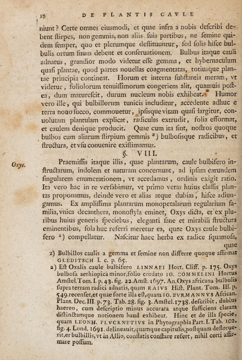 de plantis C a V l e j8 niunt ? Certe omnes eiusmodi, et quae infra a nobis defcribi de¬ bent Hirpes, nongemniisynon aliis fuis partibus, ne femine qui¬ dem femper, quo et plerumque deftituuntur, fed folis hifce bul¬ bulis ortum fuum debent et conferuationem. Bulbus itaque cauli adnatus, grandior modo videtur effe gemma, et hybernaculum quafi plantae, quod partes nouellas coagmentatas, totiusque plan¬ tae principia continear. Horum et interna rubflantia meram, vt videtur, foliolorum tenuiffimorum congeriem alit, quamuis pofl- ea, dum maturefcit, durum nucleum nobis exhibeat.» Humor vero ille, qui bulbillorum tunicis includitur, accedente adhuc e terra nouofucco, commouetur, ipfisque vitam quafi largitur, con- uolutam plantulam explicat, radiculas extrudit, folia efformat, et caulem denique producit. Quae cum ita fint, nofiros quoque ^ bulbos cum aliarum flirpium gemmis bulbofisque radicibus, et firm^ura, etvfuconuenire exiflimamus. ■ \ §. VIII. ^ PraemifTis itaque illis, quae plantarum, caule bulbifero in- firudarum, indolem et naturam concernunt, ad ipfam earundem lingularem enumerationem, vt accedamus, ordinis exigit ratio. Ita vero hac in re verfabimur, vt primo veras huius claflis plan¬ tas proponamus, deinde vero et alias atque dubias, hifce adiun- gamus. Ex ampliflima plantarum monopetalarum regularium fa¬ milia, vnica decanthera, monoflyla eminet, Oxys dida, et ex plu- ilbus huius generis f^ieciebus, eleganti lane et mirabili flrudura eminentibus, fola huc referri meretur ea, qiia‘e Oxys caule bulbi¬ fero compellatur. Nafcitur Iiaec herba ex radice fquamofa, quae z) Bulbillos caulis a gemma et femine non differre quoque affirmat Gleditsch I. c. p. 65. a) Eli: Oxalis caule bulbifero linnaei Hort. Cliff. p, 175* Oxys bulbofa aethiopicarninor,folio cordato 10. commelini Hortus Amftel.Tom. I. p. 4^. fig. 23.Amll:. 1697. An.Oxys africanu bulbulis fupra terram radici adnatis, quam Rxri vs Hift. Piant. Tom. lH-p. 5 49.recenfet,et quae forte illaeffiquamio. svrm ann vs African. Piant. Dec.III. p.79. Tab.28.fig» 3. Amftel.i^gg. defcribit, dubius haereo, cum defcriptio minus accurata atque fufficiens claram diflindamque notionem haud exhibeat. Hinc et de illa fpecie, quam leonh. PlvckneTivs in PhytographiaPart.I.Tab. i02. fig. 4. Lond, 1691. delineauit,quamque capitulis,poflquam deflo^e- nt,erbulbillis,vtin AlliO; confiatis conflare refert, nihil certi affir¬ mare pofTum.