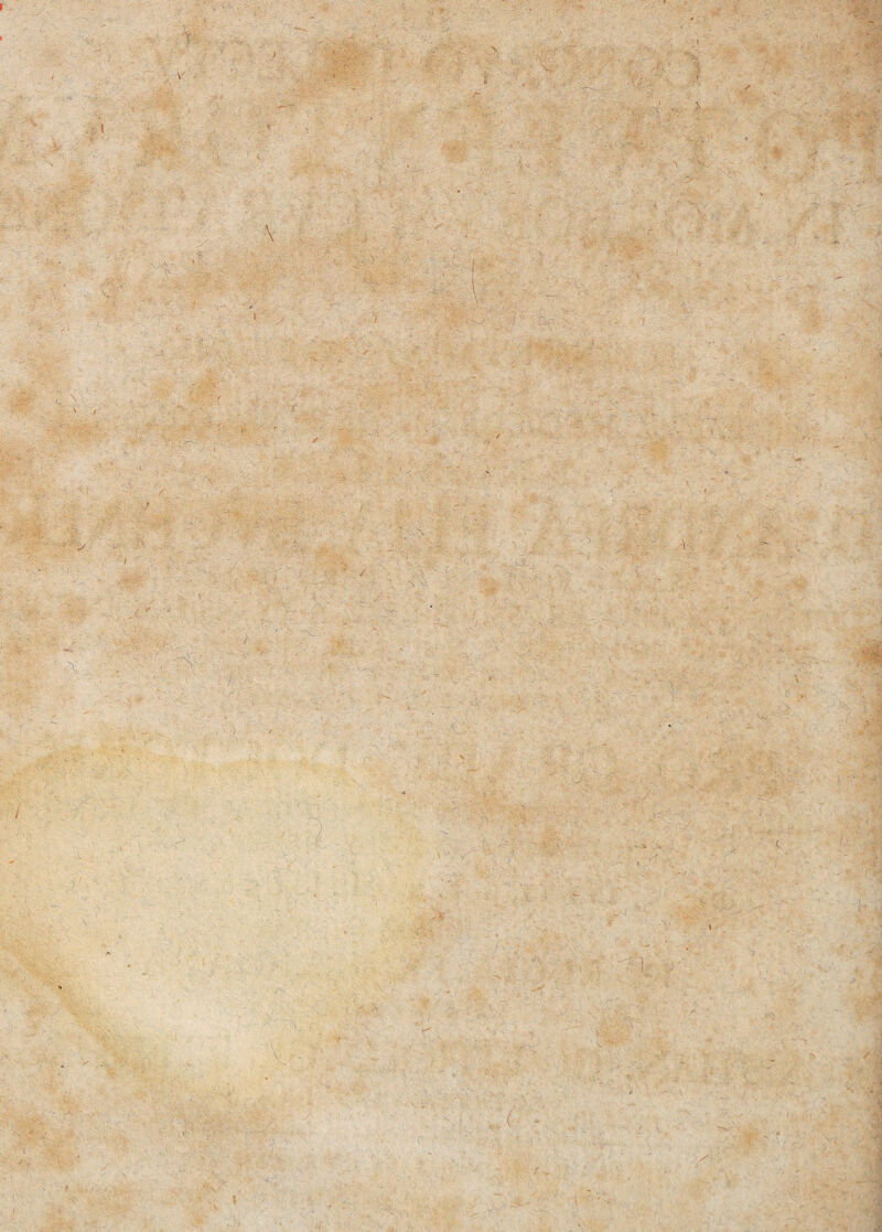 :S / « \ $ ‘ 'i n ' :V-' /