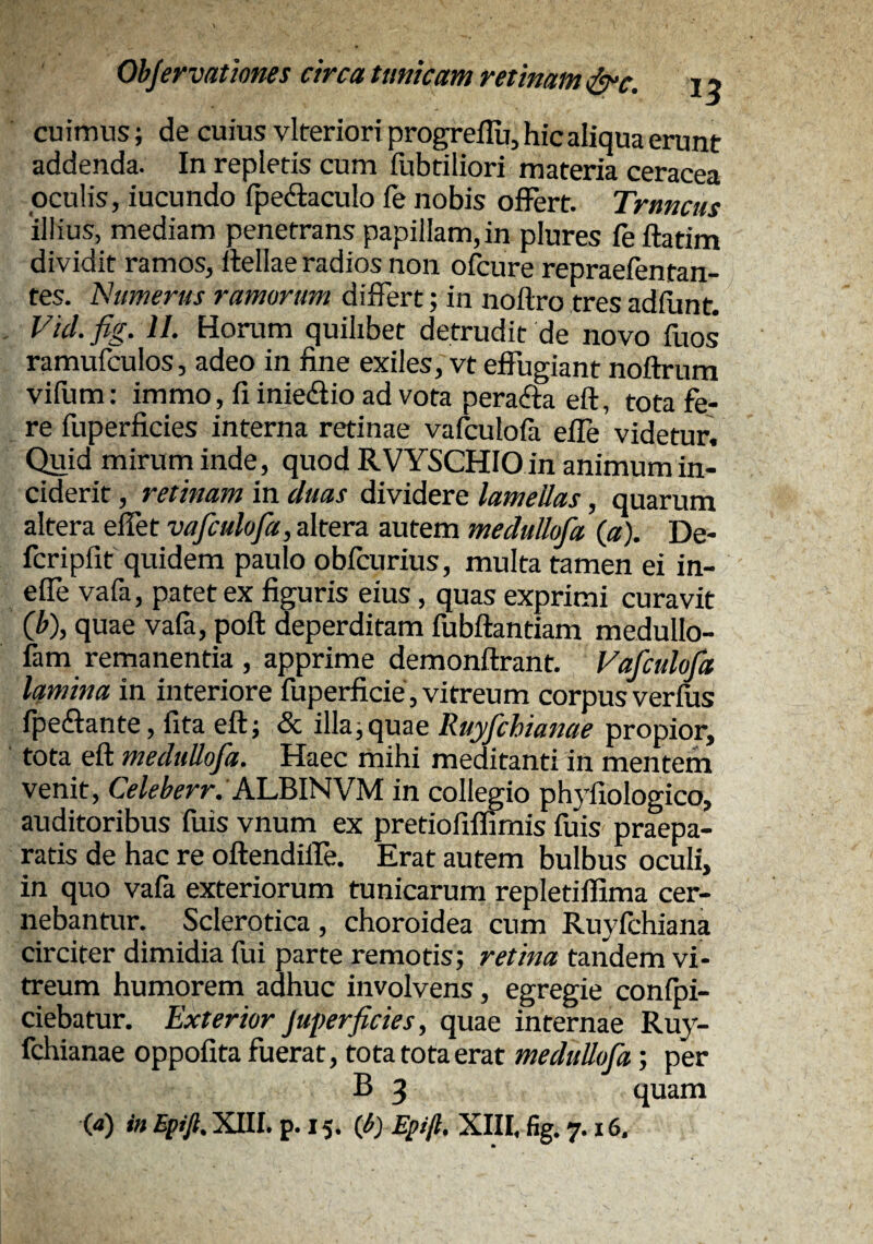 cu imus; de cuius vlteriori progreflii, hic aliqua erunt addenda. In repletis cum iubtiliori materia ceracea oculis, iucundo fpedlaculo fe nobis ofFert. Truncus illius, mediam penetrans papillam, in plures ieflatim dividit ramos, Hellae radios non oHure repraeientan- tes. 'Numerus ramorum differt; in noftro tres adfiint. Vid.fig. II. Horum quilibet detrudit de novo Hios ramufculos, adeo in fine exiles, vt effugiant noftrum vifum: immo, fi iniedlio ad vota peracfla eft, tota fe¬ re fuperficies interna retinae vafculofa effe videtur. Quid mirum inde, quod RVYSCHIO in animum in¬ ciderit , retinam in duas dividere lamellas, quarum altera effet vafculofa, altera autem medullofa (a). De- fcripfif quidem paulo obfcurius, multa tamen ei in- effe vafa, patet ex figuris eius, quas exprimi curavit (b), quae vala, poft deperditam fubftantiam medullo- fam remanentia , apprime demonftrant, Vafculofa lamina in interiore fuperficie , vitreum corpus verfus fpeftante, fita eft; & illa;quae Ruyfchianae propior, ' tota eft medullofa. Haec mihi meditanti in mentem venit, Celeherr:KIMWJM in collegio phyfiologico, auditoribus fuisvnum ex pretiofillimis fuis praepa¬ ratis de hac re oftendiffe. Erat autem bulbus oculi, in quo vafa exteriorum tunicarum repletiffima cer¬ nebantur. Sclerotica, choroidea cum Ruylchiana circiter dimidia fui parte remotis; retina tandem vi¬ treum humorem adhuc involvens, egregie confpi- ciebatur. Exterior juprfides, quae internae Ruy¬ fchianae oppofita fuerat, tota tota erat medullofa; per B 3 quam