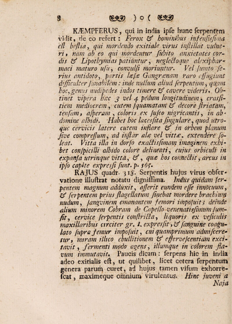 K^MPFERUS, qui in india ipfe hunc ferpentem vidit, de eo refert : Ferox tf hominibus infenfisfima e (i befti®y qui mordendo exitiale virus inftillat vulne¬ ri i nam ab eo qui mordentur fubito anxietates cor¬ dis & Lipo thymi as patiuntur , negiectoqm a. lex i phar¬ maci maturo ufu, convulft moriuntur. Vel jumto fe¬ rius antidoto y partis Icefc Gangraenam raro effugiunt difficulter janabilem: inde nullum aliud ferpentum, qmm hoc,genus nudipedes irnlos timere & cavere videris* Ob¬ tinet vipera heec j vel 4 pedum longitudinem , crasfi- tiem mediocrem, cutem fquamatam & decore jiriatam, tenfanu afperam , coloris ex fufco nigricantis, in ab- domine albidi. Habet hoc lacesjita fingulare, quod utro¬ que cervicis latere cutem inflare & jn orbem planum jive comprefjum, ad inflar alse vel vittse, extendere fo- leat. Vitta illa in dorfo exa&isfimam imaginem exhi¬ bet con/picilli albido colore delinenti, cujus orbiculi in expanja utrinque vitta, Vf, qu& hos connectis, arcus in ipfo capite expresfi funt. p. sOp* RAJUS quadr. 31#. Serpentis hujus virus obfer* vatione illuflrat notatu digniffima. Indus quidam (er- pentem magnum adduxit, afjerit eundem e(fe innocuum, & fer pentem prius flagellatum finebat mordere brachium nudum, langvinem emanantem femori impojuits deinde alium minorem Cobram de Capello venenat is fimum Jum- fit, cervice ferpentis conflricia, liquoris ex veficulis maxillaribus circiter gr. L expresfit > &9 fanguine coagita lato fupraj-emur impofuit, cui quamprimum admifcere- tur, miram illico ebullitionem & effervejcentiam exci¬ tavit , fermenti modo agens, illumque in colorem fla¬ vum immutavit. Paucis dicam: ferpens hic in india adeo exitialis eft , ut quilibet, licet cetera ferpentum genera parum curet, ad hujus tamen vifurn exhorre- fcat, maximeque omnium virulentus. Hinc juveni a Naja
