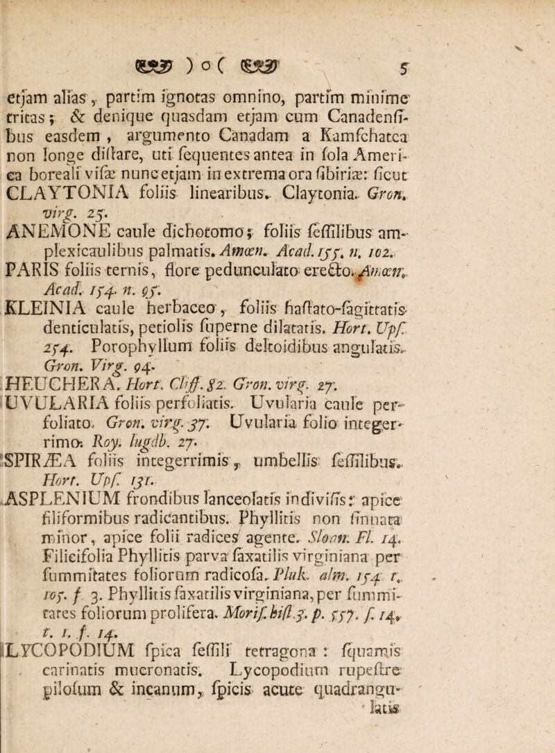 <8*2? ) o ( <g*2? etjam alias , partim ignotas omnino, partfm minime' tritas; & denique quasdam etjam cum Canadenfi- bus easdem , argumento Canadam a Kamfchatca non longe diilare, uti fequentes antea in fola Ameri- ea boreali vife nuncetjam in extrema ora fibiris: fcut CLAYTONIA foliis linearibus.. Claytonia. Gron, virg. 25. , . ANE1V10NE caule dichotomo; foliis feffilibus am-- plexicaulibus palmatis. Amem. Acad.ijp. n, 102. PARIS foliis ternis, flore pedunculat»erefto. Ac ad. i)xf. n. Qf. ' KLEINIA caule herbaceo', foliis fiaflato-fagittatiS' denticulatis, petiolis foperne dilatatis. Hort. Uff., zff. Porophyllum foliis deltoidibus angulatis. Gron. Virg. 94. HF.UCHER A. Hort'. CUjf. gz. Gron. virg. 27; UVULARIA foliis perfoliatis. Uvularia caule per- foliato. Gron. virg. 37. Uvularia folio integer¬ rimo-. Roy. lugdb. 27. SPIRiEA foliis integerrimis , umbellis.' feffilibus.. Hort. Upf. rjr. ASPLENIUM frondibus ianceoiatis indiviifs: apice filiformibus radicantibus. Phyllitis non finuat® mfnor, apice folii radices agente. Slocm. FI. /4, Filieifolia Phyllitis parva* faxatilis virginiana per fummitates foliorum radicofa, Pluk ahv. /j.i rt, 16). f 3. Phyllitis faxatilis virginiana, per fumrni- tares foliorum prolifera. Morif. hifly. p. f. /4, r. 1. f. /4. LFCOPOD1UM fpica feffili tetragona : fquamis . carinatis mucronatis. Lycopodium rupeftre; pilofum & incanum, fpicis acute quadrangu- ' laus