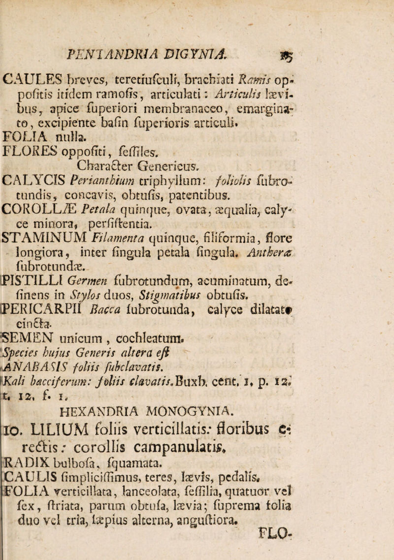 CAULES breves, teretmlculf, brachiati Ramis op« pofitis itidem ramofis, articulati; Articulis laevi¬ bus, apice fuperiori membranaceo, emargina¬ to, excipiente bafin fuperioris articuli. FOLIA nulla. FLORES oppofiti, fefiiles. Cbarafiter Genericus, CALYCIS Periantkium crrphyllum: foliolis fubro» tundis, concavis, obtufis, patentibus. COROLLAE Petala quinque, ovata, squalis, caly¬ ce minora, perbitentia. STAMINUM Filamenta quinque, filiformia, flore longiora, inter lingula petala lingula. Anthera fubrotundte. (PISTILLI Germen fubrotundum, acuminatum, de¬ linens in Stylos duos, Stigmatibus obtufis. EPERICARPII Bacca fubrotunda, calyce dilatat* einfita. SEMEN unicum, cochleatum. Species hujus Generis altera efi ■ANAB ASIS foliis fubclavatis. \Kali b acci ferum: jbliis clavatis. Buxb. cent. j, p. 12.' t, 12, f. I. HEXANDRIA MONOGYNIA. IO. LILIUM foliis verticiliatis/ floribus c** redis / corollis campanulatis, RADIX bulbola, fquamata. CAULIS fimplicifiimus, teres, laevis, pedalis, FOLIA verticillata, laneeolata, fefillia, quatuor vel fex, firiata, parum obtufa, laevia; fuprema folia duo vel tria, Reptus alterna, angultiora. FLO-