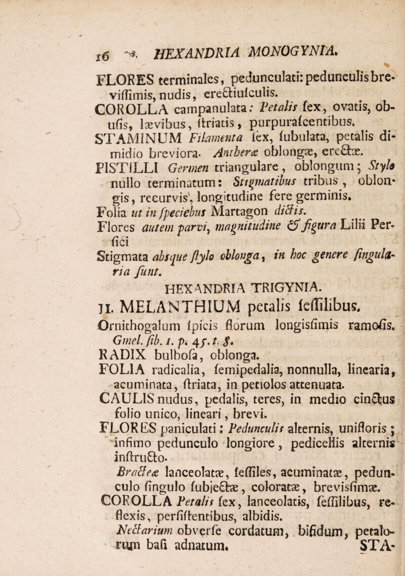 FLORES terminales, pedunculari:pedunculisbre- viffimis, nudis, ereftiulculis. COROLLA campanulata; Fetalis fex, ovatis, ob- ufis, laevibus, ftriatis, purpurafeentibus. STAMINUM Filamenta lex, fubulata, petalis di¬ midio breviora- Anther& oblongae, ere£fce. PISTILLI Germen triangulare, oblongum; Stylo nullo terminatum: Stigmatibus tribus , oblon¬ gis , recurvis, longitudine fere germinis. Folia ut in fpeciebus Martagon di Sis. Flores autem parvi, magnitudine figura Lilii Per* fici Stigmata absque jlylo oblonga, in hoc genere fingula- ria funt. HEX ANDRIA TRIGYNIA. U. MELANTHIUM petalis leffilibus. Qrnithogalum (picis florum longisfimis ramofis. Ginel. fib. /. p. 4/. t. g, RADIX buibofa, oblonga. FOLIA radicaiia, lemipedalia, nonnulla, linearia, acuminata, ftriata, in petiolos attenuata. CAULIS nudus, pedalis, teres, in medio cin&us folio unico, lineari, brevi. FLORES paniculati: Pedunculis alternis, unifloris ; infimo pedunculo longiore, pedieellis alternis inftrufto. BraBea lanceolatae, feffiles, acuminatae, pedun¬ culo fingulo (ubjefte, coloratae, brevisfimae. COROLLA Petalis fex, lanceolatis, feffilibus, re¬ flexis, perfidentibus, albidis. Hdiarium obverle cordatum, bifidum, petalo¬ rum bafi adnatum. STA*