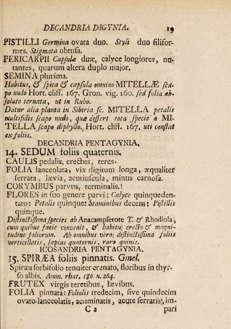PISTILLI Germina ovata duo. Styli duo filifor¬ mes. Stigmata obeufa. PERICARPII CapJuU duae, calyce longiores, nu¬ tantes, quarum altera duplo major. SEMINA plurima. < • Habitus, fpica (S capfula mnino MITELLiE fica- po nudo Hort. clift. 167. Gron. vig. 160. feci folia ab* folute temat a, ut in Rubo. Datur alia planta in Sibiria fc. MITELLA petalis multifidis (capo nudo, qua d/jfert tota fpecie a MI¬ TELLA Jcaps dipkyllo.t Hort. cliff. 167, uti confiat DECANDRIA PENTAGYNIA, 14. SEDUM foliis quaternis. CAULIS pedalis, ere£tus, teres- FOLIA lanceolata, vix digitum longa, sequalkef ferrata , Isevia, acutiufcula, minus carnoft. CORYMBUS parvus, terminalisJ FLORES in fuo genere parvi; Calyce quinquedem rato: Petalis quinque: Staminibus decem: Piftillis quinque. DifunctiffimaJpecies ab Anacampferote T. & Rhodiola, cum quibus facie convenit, if habitui erecto & magni¬ tudine foliorum. Ab omnibus vero] dijlinciiffima foliis vertici liatis, /tepius quaternis, raro quinis. ICOSANDRIA PENTAGYNIA. J5. SPIR/EA foliis pinnatis. Gmel. Spiraea forbifolio tenuiter crenato, floribus in thyr- fo albis. Amm. rhut. i$6 n. z6q. FRUTEX virgis teretibus, laevibus. FOLIA pinnata: Foliolis tredecim, five quindecim ovato-lanceolatis, acuminatis, acute ferraris;, im- C 2 pari