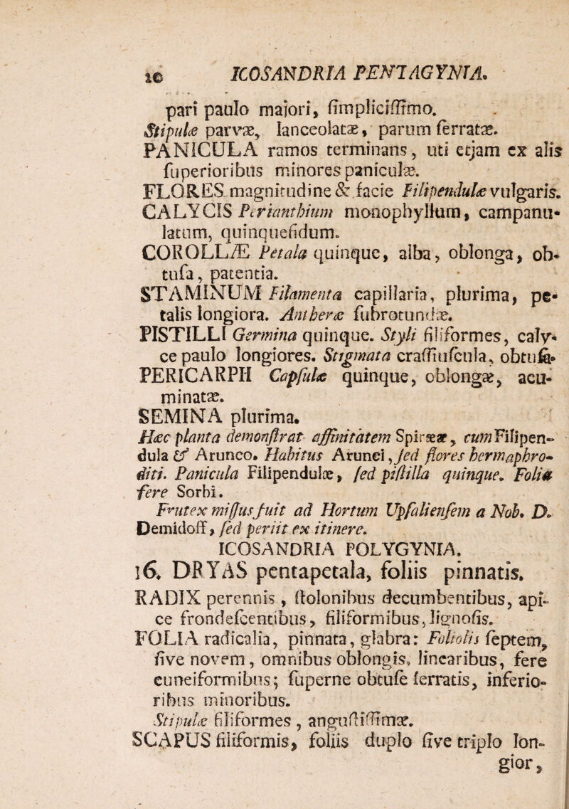 ICOSANDRfA PEN7AGYNTA. «io pari paulo majori, fimpliciifimo. StipuU parvae, lanceolatae, parum ferrate. PANICULA ramos terminans, uti etjam cx alis fu perior ibus minores paniculae. FLORES magnitudine & facie FilipenduU vulgaris. CALYCIS Perimtbium monophyllum, carnpanu* latum, quinquefidum. COROLLfE Petala quinque, alba, oblonga, oh* tufa, patentia. STAMINUM Filamenta capillaria, plurima, pe¬ talis longiora. Anthev<e fubroturute. PISTILLI Germina quinque. Styli filiformes, caly¬ ce paulo longiores. Stigmata craffiufcula, obtufa» PERlCARPII Capfuhe quinque, oblongze, acu¬ minate. SEMINA plurima. Hfic planta demonjlrat affinitatem Splrseat, rwwFifipen- dula if Arunco. Habitus Arunci ,Jed flores hermaphro¬ diti. Panicula Fiiipenduice, fed piflilla quinque. Folia fere Sorbi. Fnitex mi (Jusfuit ad Hortum Upfalienfem a Noh. D* Demidoff, fed periit ex itinere. ICOSANDRIA POLYGYNIA. 16. DR YAS pentapetala, foliis pinnatis. RADIX perennis , dolonibus decumbentibus, api¬ ce frondefeentibus, filiformibus, lignofis. FOLIA radicalia, pinnata, glabra: Foliolis feptem, fi ve novem, omnibus oblongis, linearibus, fere cuneiformibus; fiiperne obtufe ferratis, inferio¬ ribus minoribus. Stipule filiformes, anguffiffmsr. SCAPUS filiformis, foliis duplo fi ve triplo lon¬ gior,