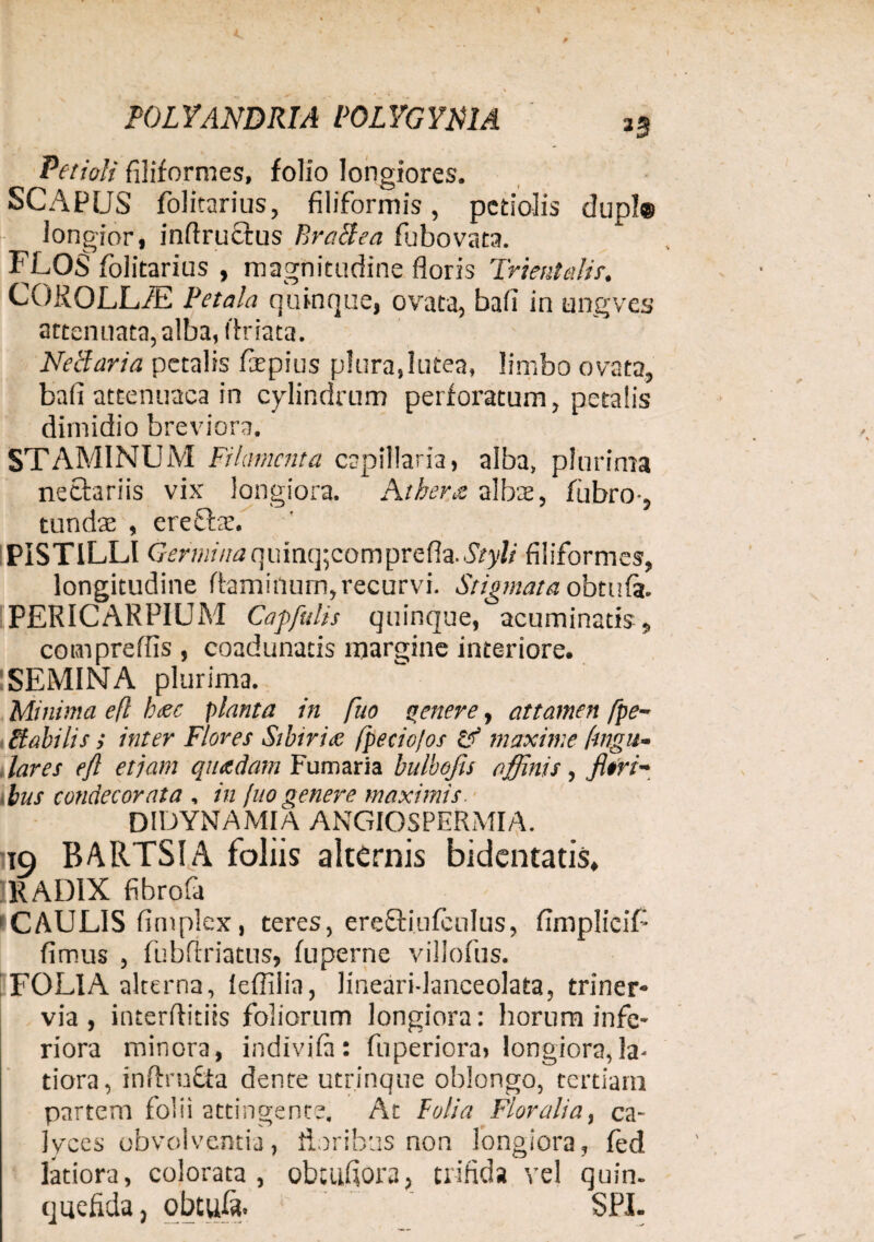 POLYANDRIA POLYGYNIA j3 Petioli filiformes, folio longiores. SCAPUS folitarius, filiformis, petiolis dupl® longior, infinitius Bractea fubovata. FLOS folitarius , magnitudine floris Trientalis. COROLL/E Petala quinque, ovata, bafi in ungves attenuata, alba, (friata. Netlaria petalis fiepius plura,lutea, limbo ovata, bafi attenuaca in cylindrum perforatum, petalis dimidio breviora. STAMINUM Filamenta capillaria, alba, plurima nethriis vix longiora. Athera albae, fiibro-, tundae , erefbe. PISTILLI G em n na q u inq; co m pr e fla. Styli filiformes, longitudine flaminum, recurvi. Stigmata obtufa. PERICARPIUM Capfulis quinque, acuminatis, compreffis , coadunatis margine interiore. SEMINA plurima. Minima e(l b<ec planta in fuo genere, attamen fpe- Ftabilis i inter Flores Sibiria fpecio/os tP maxime Angu¬ lares eft etjam quadam Fumaria bulbofis affinis, fltri- ■bus condecorata , in {uogenere maximis. DIDYN A MI A ANGIOSPERMIA. io BARTSIA foliis alternis bidentatis, RADIX fibrofa (CAULIS fimplex, teres, ereftinfcnlus, fimplicif- fimus , fubflriatus, fuperne villofus. FOLIA alterna, lefiilia, lineari-lanceolata, triner* via , interflitiis foliorum longiora: horum infe¬ riora minora, indivifa : fuperiora> longiora, la- tiora, inftrufcta dente utr.inque oblongo, tertiam partem folii attingente. At Folia Floralia, ca¬ lyces obvolventia, floribus non longiora, fed latiora, colorata, obtufiora, trifida vel quin- quefida, obtufa. SPI.