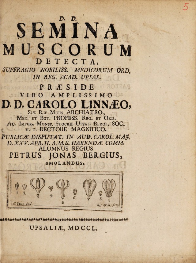 digitised image 1
