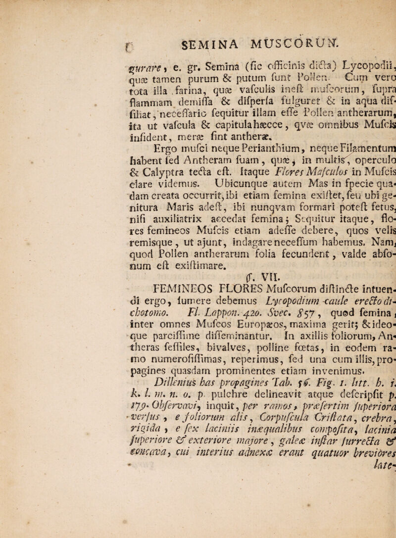 «rurate > e. gr. Semina (fic officinis dicta) Lycopodii, qux tamen purum & putum funt Pollen. Cum vero tota illa .farina, qux vafcuMs ineft mufcorum, fupra flammam demiffa & difperla fulguret & in aqua dif- filiat ,‘neteffario fequitur illam effe Pollen antherarum, Ita ut vafcula & capitulah^cce, qvce omnibus Mufcis inficient, merge fint antherar* Ergo mufci neque Perianthium, neque Fikmentum habent fed Antheram fuam, quas* in multis, operculo & Calyptra tefta eft. Itaque Flores Mafculos in Mufcis clare videmus. Ubicunque autem Mas in fpecie qua¬ dam creata occurrit, ibi etiam femina exiftet, feu ubi ge¬ nitura Maris adeft, ibi nunqvam formari poteft fetus, nifi auxiliafrix accedat femina. Sequitur itaque, flo¬ res femineos Mufcis etiam adefle debere, quos velis remisque, ut ajunt, indagare neceffum habemus, Nanq quod Pollen antherartim folia fecundent, valde abfo- oum eft exiftimare. (T. VII. FEMINEOS FLORES Mufcorum diftindle intuen¬ di ergo, lum ere debemus Lycopodium <aule erecto di* dmomo. FL Lappon. 420. Svec. $57 , quod femina 1 Inter omnes Mufcos Europaeos, maxima gerit; & ideo- que parciffime difteminantur. In axiliis foliorum. An- theras fdiiies, bivalves, polline fetas, in eodem ra¬ mo numerofiffimas, reperimus, fed una cum illis, pro¬ pagines quasdam prominentes etiam invenimus. Dilienius has propagines Tah. ff. Fig> /. Utt. h. i. k» L nu n. 0. p pulchre delineavit atque defcripfit pt $79» Qbfervavi? inquit, per ramos» pmefertim fuperiora ■ ver jus , e joliontm alis, Corpufcula Crtfl at a, crebra, rigida , e fex laciniis ime qualibus cornpofita, lacinia f uperiore & exteriore majore , gale<e inftar jurre&a & micava, cui interius adnexa erant quatuor brevidres * late*