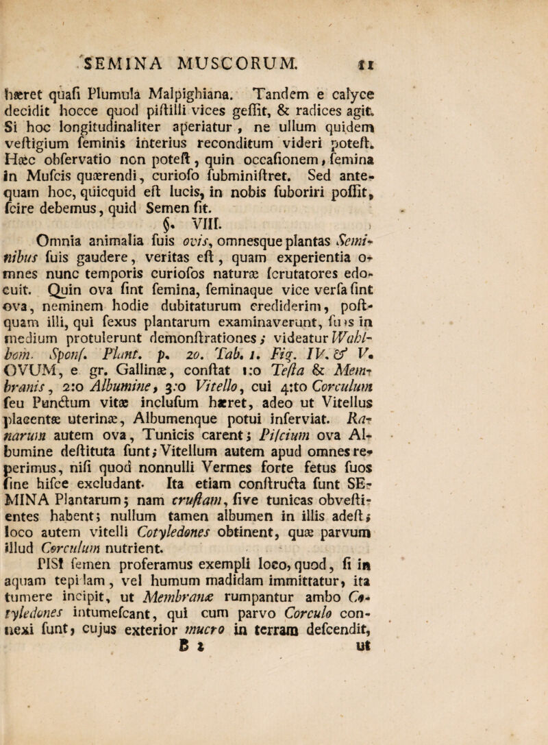 I SEMINA MUSCORUM. ti hseret quafi Plumula Malpighiana. Tandem e calyce decidit hocce quod piftilli vices geffit, & radices agit Si hoc longitudinaliter aperiatur , ne ullum quidem veftigium feminis interius reconditum videri poteft* Haec obfervatio non poteft , quin occafionem # femina in Mufcis quaerendi, curiofo fubminiftret. Sed ante¬ quam hoc, quicquid efl lucis, in nobis fuboriri poflit, fcire debemus, quid Semen fit. §• VIIL Omnia animalia fuis ovis, omnesque plantas Semi* nibus fuis gaudere, veritas eft , quam experientia Or mnes nunc temporis curiofos naturae (crutatores edo* cuit. Quin ova fint femina, feminaque vice verfa fint ova, neminem hodie dubitaturum crediderim, poft- quam illi, qui fexus plantarum examinaverunt, fms in medium protulerunt demonftrationes ; videatur Wabl- bom. Spcnf. Piant. p. 20. Tab, 1. Fiq. IV. cf V. OVUM, e gr. Gallinae, confiat i:o Te fla & Mem* brtinis, 2:0 Albumine, 3:0 Vitello, cui 4:to Corculum feu Puntfium vitae inclufum haeret, adeo ut Vitellus placentae uterinae. Albumenque potui inferviat. Ra~ narum autem ova, Tunicis carent; Pi/cium ova Al¬ bumine deftituta funt; Vitellum autem apud omnes re* perimus, nifi quod nonnulli Vermes forte fetus fuos Ime hifce excludant Ita etiam conftrutfia funt SE¬ MINA Plantarum 5 nam cruflam, five tunicas obvefti- entes habent; nullum tamen albumen in illis adeft; loco autem vitelli Cotyledones obtinent, quae parvum illud Corculum nutrient PISI femen proferamus exempli loco,quod, fi in aquam tepi lam , vel humum madidam immittatur, ita tumere incipit, ut Membrana rumpantur ambo Co¬ tyledones intumefcant, qui cum parvo Corculo con¬ nexi funt, cujus exterior mucro in terram defcendit, B z ut