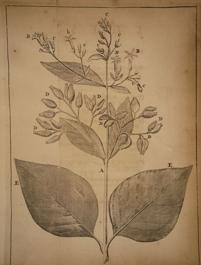 * It ! c ' i * . ] 5 a i i * I i i .* i i i I » I