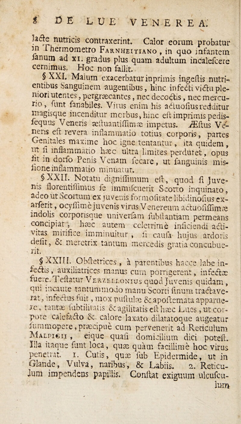 !a<f® nutricis contraxerint. Calor eorum probatur In 1 hermometro Farnheitiano , in quo infantem Janum ad xi. gradus plus quam adultum incalefcere cernimus* Hoc non fallit. f. XXI* Majum exacerbatur inprimis ingedis nutri¬ entibus Sanguinem. augentibus, hinc infedtividuple¬ niori utentes, pergraecantcs, nec decodlis, nec mercu- rio, funt fanabiles. Vivus enim his a&uafius redditur inagisque incenditur mcrbus,hinc eftimprimis pedis- iequus Veneris aeduantiffimae impetus. iEftus Ve¬ neris eft revera inflammatio totius corporis, partes Genitales maxime hoc igne lentantur, ita quidem , tit ii mdammatio haec ultra limites perduret, opus iit m dorfo Penis Venam fecare, ut fanguinis mis- noneinfiammatio minuatur. § XXII. Notatu digniffimiim eft, quod fi juve¬ nis iiorentiffimus fe immifcuerit Scorto inquinato, adeo ut Scortum ex juvenis formofnate libidinofius ex- arferit, ocyflim e juvenis virus Venereum aeduoliffiime indolis corporisque univerfam fubllantiam permearis concipiat, htec autem celerrime inficiendi adti- vitas mirifice imminuitur , ii caufv hujus ardoris defit, & meretrix tantum mercedis gratiaconcubue- - iit. J § XXIII. Obfletnces , a parentibus hacce labe in- iedis ,^auxiliatrices manus cum porrigerent, infedtee fuere. .1 edatur Verzellonius quod Juvenis quidam, qui meante tantummodo manu Scorti finum tradi a ve- lat, intectus fuit, mox puftulae & apoflemata appame- ic, tantae iubtilivatis & agilitatis eft heee Lues, ut cor¬ pore caiefadto St- calore laxato dilatatoque augeatur lummopere,praecipue cum pervenerit ad Reticulum Malpi€ii , eique quafi domicilium dici potefl. l:la itaque funt loca, quae quam facillime hoc virus penetrat, i. Cutis, qux iub Epidermide, ut in Glande, Vulva, naribus, & Labiis. 2. Reticu¬ lum impendens papillis. Confiat exiguum ulcufcu- lum-