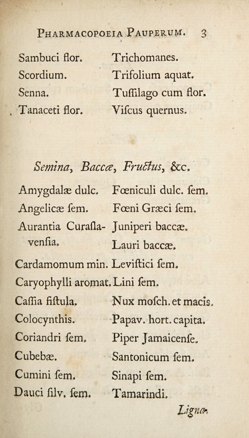 Sambuci flor. Scordium. Senna. , Tanaceti flor. Trichomanes. Trifolium aquat. Tuflilago cum flor. Vifcus quernus. Semina, Baccce, FruSfus, &c. Amygdalas dulc, Foeniculi dulc. fem. Angelicas fem. Foeni Grreci fem. Aurantia Curalia- Juniperi baccas. venfia, Lauri baccas. Cardamomum min. Leviftici fem. Caryophylli aromat. Lini lem. Cafiia filtula. Colocynthis. Coriandri fem. Cubebas. Cumini fem. Dauci flly, fem. Nux mofch. et macis Papav. hort. capita. Piper Jamaicenfe. Santonicum fem. Sinapi fem. Tamarindi. Jjpich