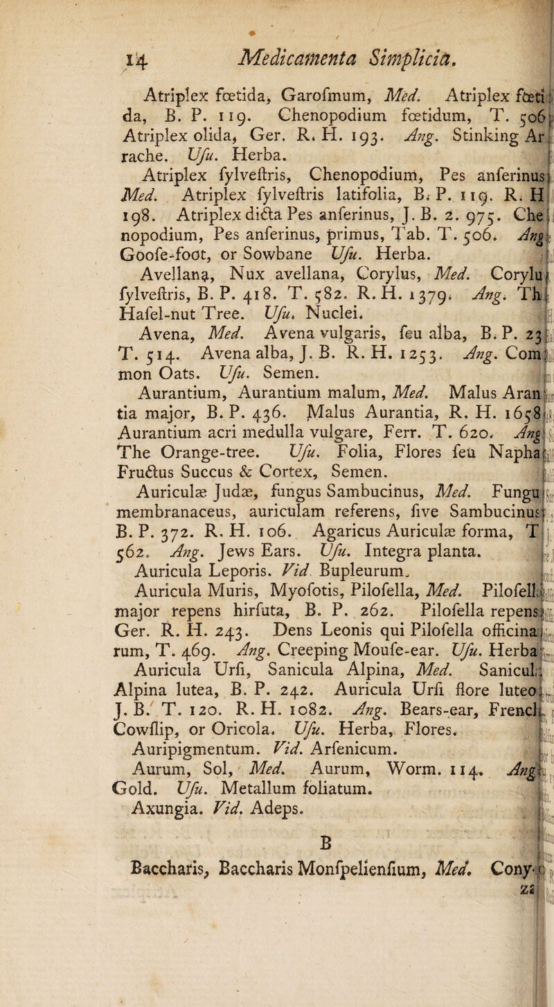 Atriplex fcetida, Garofmum, Med. Atriplex fted':i da, B. P. 119. Chenopodium foetidum, T. 5061- Atriplex olida, Ger. Ri H. 193. Ang. StinkingAr^ rache. Ufu. Herba. |; Atriplex fylveftris, ChenopOdium, Pes anferinus^ Med. Atriplex fylveftris latifolia, B.-P. 119. Ri H*' 198. Atriplex dida Pes anferinus, J. B. 2. 975. Chejl nopodium, Pes anferinus, primus, Tab. T. 506* An^i Goofe-foot, or Sowbane Ufu. Herba. 7 Avellang,, Nux avellana. Corylus, Med. Corylu|, fylveftris, B. P. 418. T. 582. R. H. 1379* Angi Thf Hafel-nut Tree. Ufui Nuclei. Avena, Med. Avena vulgaris, feu alba, B.P. 23) T. 514. Avena alba, J. B. R.H. 1253. Ang. Qomy mon Oats. Ufu. Semen. Aurantium, Aurantium malum, Med. Malus Aran‘i tia major, B. P. 436. Malus Aurantia, R. H. 1658'; Aurantium acri medulla vulgare, Ferr. T. 620. Ang The Orange-tree. Ufu. Folia, Flores feu Napha Frudus Succus & Cortex, Semen. j;, Auricula; Judas, fangus Sambucinus, Med. Fungu, membranaceus, auriculam referens, five Sambucinus B. P. 372. R.H. 106. Agaricus Auriculae forma, T 562. Ang. Jews Ears. Ufu. Integra planta. Auricula Leporis. Vid Bupleurum. Auricula Muris, Myofotis, Pilofella, Med. PilofelL' major repens hirfuta, B. P. 262. Pilofella repens, Ger. R. H. 243. Dens Leonis qui Pilofella officinai rum, T. 469. Ang. Creeping Moufe-ear. Ufu. Herba’ Auricula Urfi, Sanicula Alpina, Med. Saniculi Alpina lutea, B. P. 242. .Auricula Urfi flore luteo| J. B.' T. 120. R.H. 1082. Ang. Bears-ear, Frencl Cowflip, or Oricola. Ufu. Herba, Flores. Auripigm.entum. Vid. Arfenicum. Aurum, Sol, Med. Aurum, Worm. 114. Ang Gold. Ufu. Metallum foliatum. Axungia. Vid. Adeps. B Baccharis, Baccharis Monfpelienflum, Med. Cony^ /