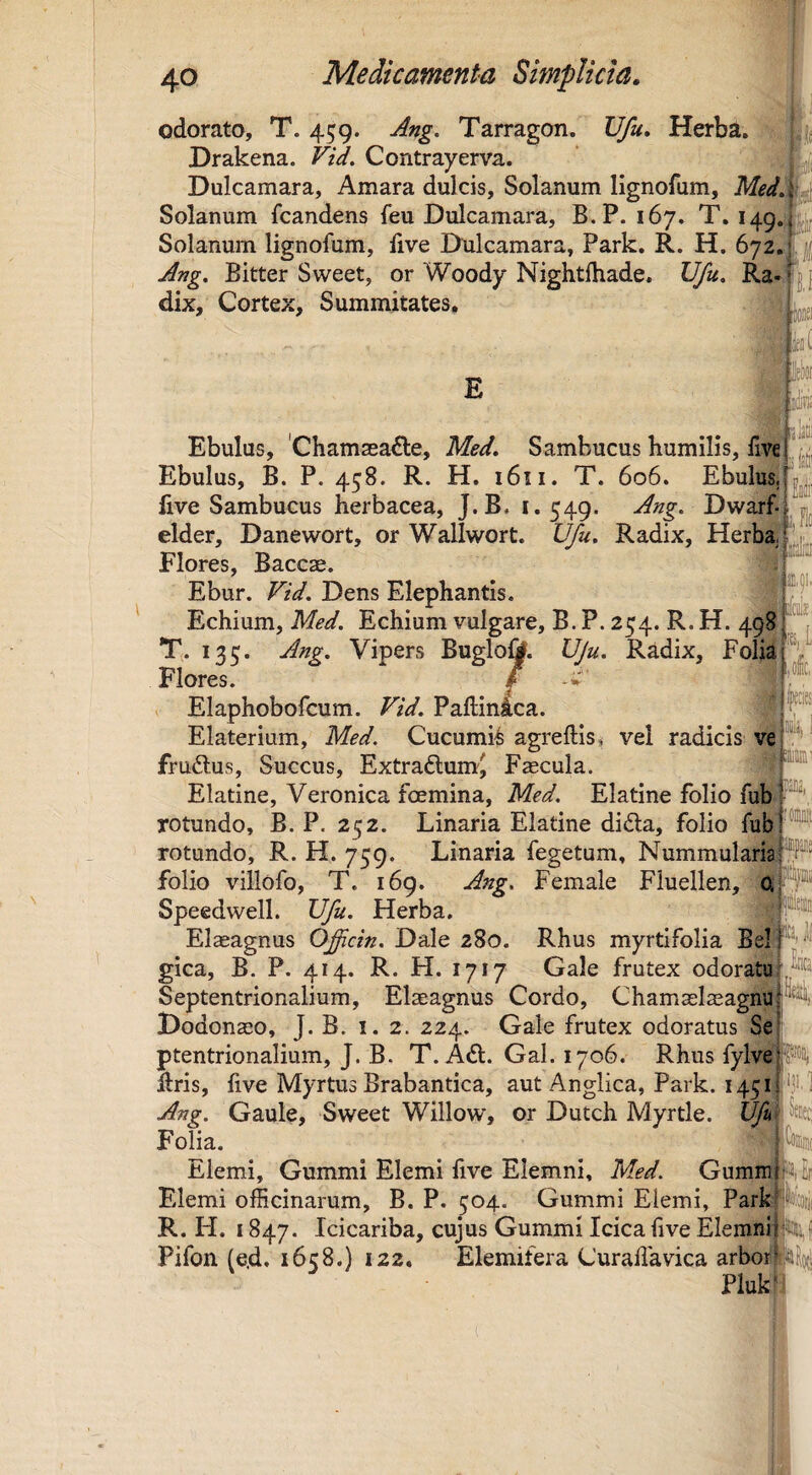 ‘-'«itt odorato, T. 459. Ang. Tarragon. Vfu, Herba, Drakena. Vid. Contrayerva. Dulcamara, Amara dulcis. Solanum lignofum, Med: Solanum fcandens feu Dulcamara, B.P. 167. T, 149. Solanum lignofum, five Dulcamara, Park. R. H. 672. Ang, Bitter Sweet, or Woody Nightlhade, Vfu. Ra dix. Cortex, Summitates, E y ifc jlatil iSi luslia: ol, aiiiiiii Ebulus, Chamaea^le, Med, Sambucus humilis, five Ebulus, B. P. 458. R. H. 1611. T. 606. Ebulus, five Sambucus herbacea, J.B. i. 549. Ang, Dwarf- elder, Danewort, or Wallwort. Vfu, Radix, Herba, Flores, Baccse. Ebur. Vid. Dens Elephantis. Echium, Med. Echium vulgare, B. P. 254. R. H. 498 T,. 135. Ang. Vipers Bugloft. Vju. Radix, Folja Flores. f X' V Elaphobofcum. Vid. Paftinica. Elaterium, Med. Cucumis agreftis^ vel radicis ve frudtus, Succus, ExtradlumJ Faecula. Elatine, Veronica foemina, Med. Elatine folio fub rotundo, B. P. 2(^2. Linaria Elatine didla, folio fub' rotundo, R. H. 759. Linaria fegetum. Nummularia folio villofo, T. 169. Ang. Female Fiuellen, q* n® Speedwell. Vfu. Herba. El^agnus Oficin. Dale 280. Rhus myrtifolia Bel gica, B. P. 414. R. H. 1717 Gale frutex odoratu:^® Septentrionalium, Elaeagnus Cordo, Chamaelaeagnu; H Dodonaeo, J. B. i. 2. 224. Gale frutex odoratus Se ptentrionalium, J. B. T. Adi. Gal. 1706. Rhus fylve'm Uris, five Myrtus Brabantica, aut Anglica, Park. 1451^ An?. Gaule, Sweet Willow, or Dutch Myrtle. Ufui^ ^ Folia. |^( Elemi, Gummi Elemi five Elemni, Med. Gummlj^Er Elemi officinarum, B. P. 504. Gummi Elemi, Parkl R. H. 1847. Icicariba, cujus Gummi Icica five ElemniI Pifon (e,d. 1658.) 122. Elemifera Curaliavica arborf^ljtj PlukM ibri(