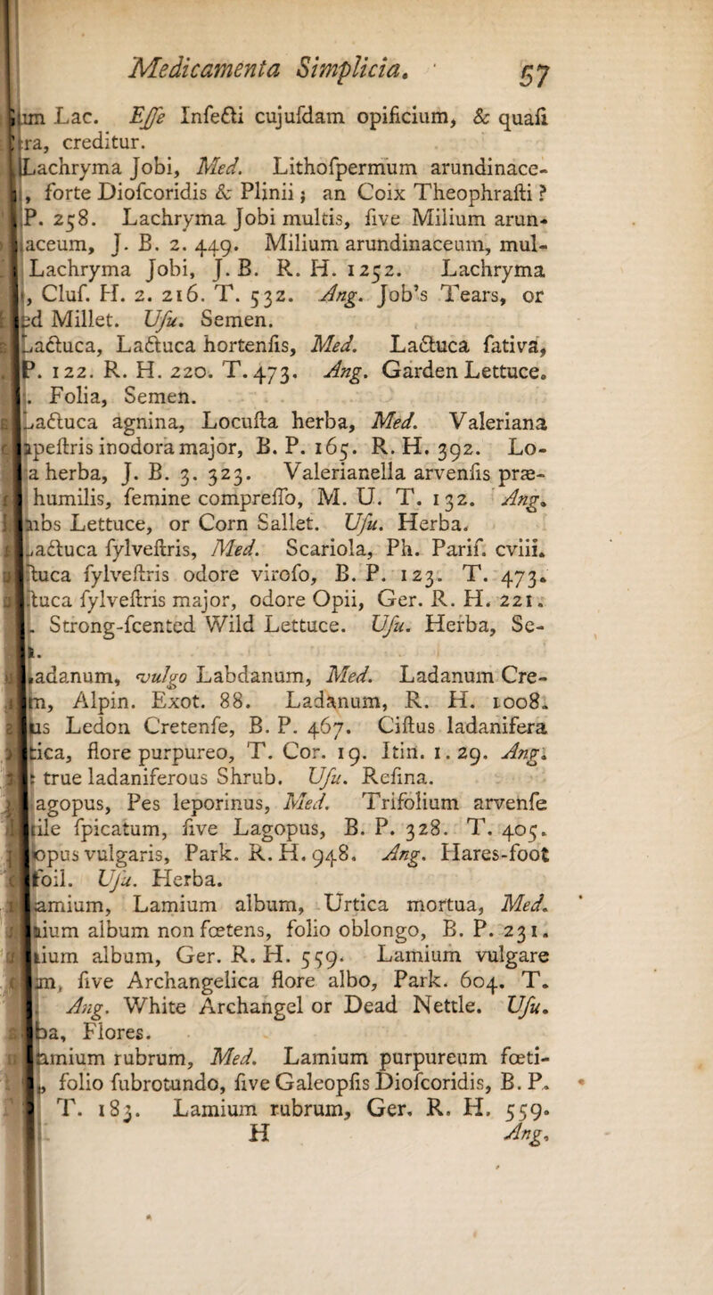 im Lac. EJfe Infefti cujurdam opificium, & quali ra, creditur. Lachryma Jobi, Med. Lithorpermum arundinace- , forte Diofcoridis & Plinii j an Coix Theophrafti ? P. 258. Lachryma Jobi multis, five Milium arun- aceum, J. B. 2. 449. Milium arundinaceum, mul- jLachryma Jobi, J. B. R. H. 1252. Lachryma Cluf. H. 2. 216. T. 532. Ang. Job’s Tears, or d Millet. JJfu. Semen. adluca, Lafluca hortenfis, Med, La6luca fativa, . 122. R. H. 220. T.473, Ang, Garden Lettuce, ]. Folia, Semen. ^afluca agnina, Loculla herba, Med. Valeriana ;ipeftris inodora major, B. P. 165. R. H. 392. Lo¬ la herba, J. B. 3. 323. Valerianella arvenfis prte- humilis, femine comprefib, M. U. T. 132. Ang» Jubs Lettuce, or Corn Sallet. JJfu, Herba. ..adluca fylveftris, Med. Scariola, Ph. Parif. cviii* iluca fylveftris odore virofo, B. P. 123. T. 473* ftuca fylveftris major, odore Opii, Ger. R. H. 221. ^ Strong-fcented Wild Lettuce. Ufu. Herba, Sc- V ^adanum, ^ulgo Labdanum, Med. Ladanum Cre- jpn, Alpin. Exot. 88. Ladanum, R. H. 1008. |is Ledon Cretenfe, B. P. 467. Ciftus ladanifera tica, flore purpureo, T. Cor. 19. Itin. 1.29. Angi true ladaniferous Shrub. Ufu. Refina. agopus, Pes leporinus, Med. Trifolium arvenfe ile fpicatum, five Lagopus, B. P. 328. T. 405. pus vulgaris, Park. R. H. 948. Ang. Hares-foot bil. Ufu. Herba. mium, Lamium album, Urtica mortua, Med. ium album non foetens, folio oblongo, B. P. 231. ium album, Ger. R. H. 559. Lamium vulgare five Archangelica flore albo, Park. 604. T. Ang. White Archangel or Dead Nettle. Ufu. a. Flores. mium rubrum, Med. Lamium purpureum foeti- |||i, folio fubrotundo, five Galeopfis Diofcoridis, B.P. T. 183. Lamium rubrum, Ger. R. H, 559. H Ang.