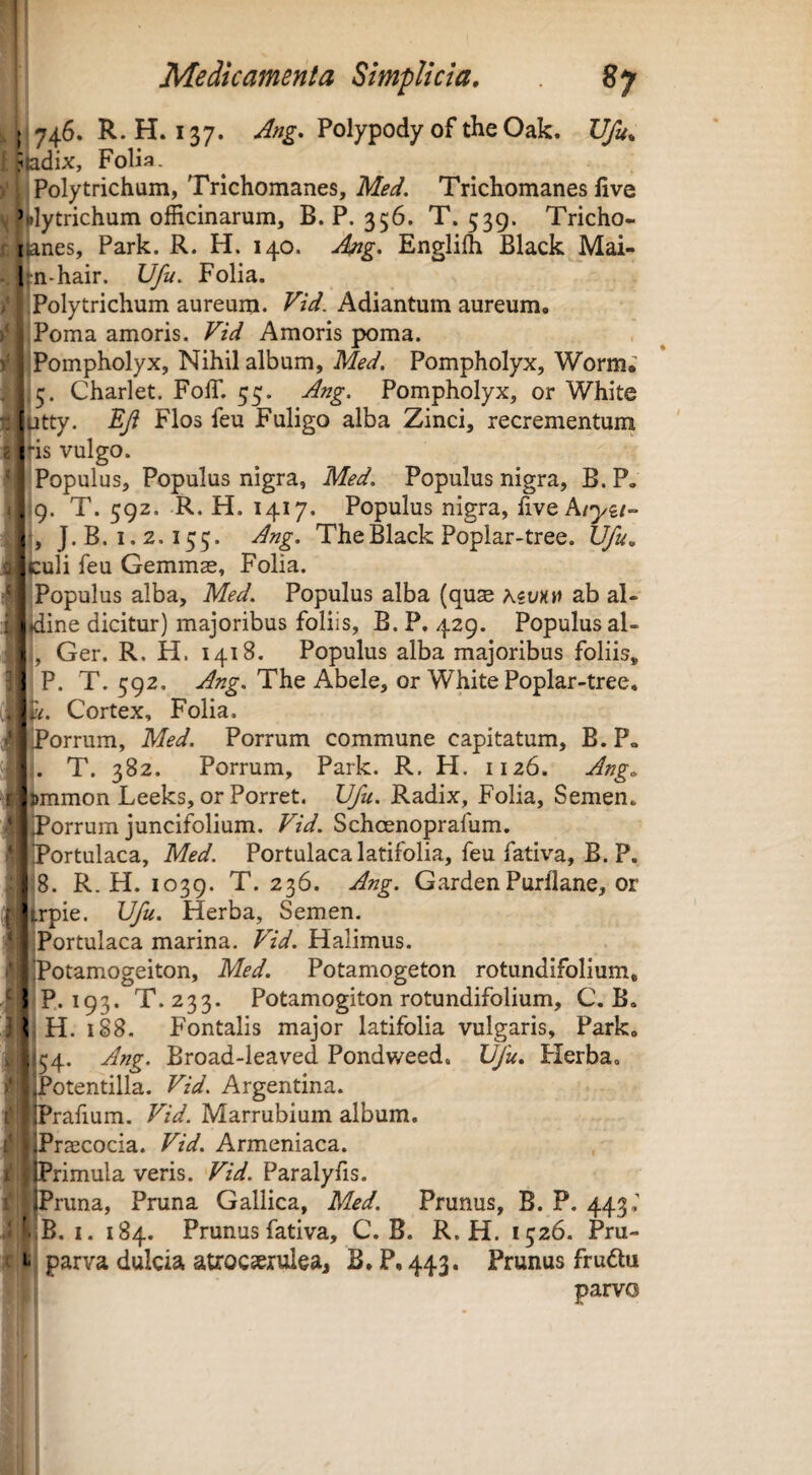 ; 746. R.H. 137. Ang. Polypody of the Oak. Vfu^ ?adix, Folia- Polytrichum, Trichomanes, Med, Trichomanes five Mytrichum officinarum, B. P. 356. T. 539. Tricho- ranes, Park. R. H. 140. A/ig. Engliffi Black Mai- I n-hair. Ufu. Folia. iPolytrichum aureum. Vid. Adiantum aureum, ir-j Poma amoris. Vid Amoris poma. ^'1 Pompholyx, Nihil album, Med. Pompholyx, Worm; ii ,5. Charlet. Foffi 55. Ang. Pompholyx, or White j^l^tty. Eji Flos feu Fuligo alba Zinci, recrementuin ifis vulgo. iPopulus, Populus nigra, Med. Populus nigra, B.P. ?i ilQ. T. 592. R. H. 1417. Populus nigra, live i<|, J.B. 1.2.155. Ang. The Black Poplar-tree. Ufu.. f jjculi feu Gemmae, Folia. jPopulus alba, Med. Populus alba (quae asuxu ab al- jdine dicitur) majoribus foliis, B. P. 429. Populus al- j, Ger. R. H. 1418. Populus alba majoribus foliis, P. T. 592. Ang. The Abele, or White Poplar-tree, Cortex, Folia. liPorrum, Med. Porrum commune capitatum, B. P. ‘i. T. 382. Porrum, Park. R. H. 1126. Ang.. mmon Leeks, or Porret. UJu. Radix, Folia, Semen, orrum juncifolium. Vid. Schoenoprafum. ortulaca, Med. Portulaca latifolia, feu fativa, B.P. i8. R.H. 1039. T. 236. Ang. GardenPurflane, or .rpie. Ufu. Herba, Semen. Portulaca marina. Vid. Halimus. Potamogeiton, Med. Potamogeton rotundifolium, P. 193. T.233. Potamogiton rotundifolium, C. B. H. 188. Fontalis major latifolia vulgaris, Park. ; 54. Ang. Broad-leaved Pondweed. Ufu. Herba. Potentilla. Vid. Argentina. Prafium. Vid. Marrubium album. I Praecocia. Vid. Armeniaca. iPrimula veris. Vid. Paralyfis. Pruna, Pruna Gallica, Med. Prunus, B. P. 443,’ B. I. 184. Prunus fativa, C. B. R.H. 1526. Pru- i- parva dulcia atrocserulea, B.P, 443. Prunus frudtu parvo