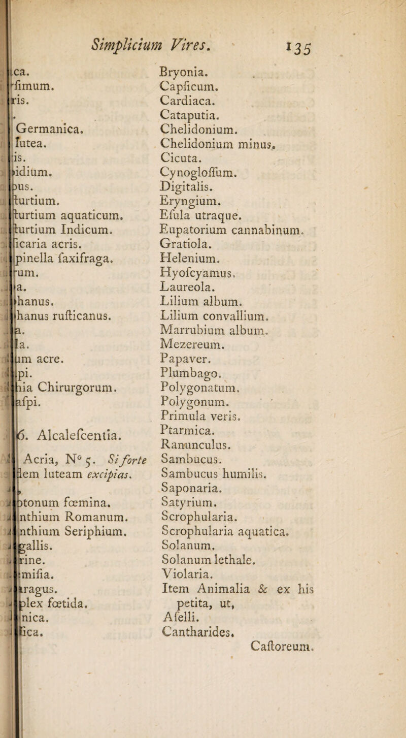 fca. Iffimum. Iris. Germanica. lutea. Itis. Ibidium. )US. turtium. turtium aquaticum, iurtium Indicum, ficaria acris. )inella laxifraga. rum. a. hanus. jhanus rufticanus. L • a. m acre. .Pi- -■*^ia Chirurgorum, fpi. |6. Alcalercenila. Acria, N^5. Si forte lem luteam excipias. tonum fcemina. nthium Romanum, jnthium Seriphium, gallis. J-ine. jtmifia. ^ragus. ^le J1 \ti ex fcetida. 'inica. ica. Bryonia. Capficum. Cardiaca. Cataputia. Chelidonium. Chelidonium minus. Cicuta. CynoglofTum. Digitalis. Eryngium. Efula utraque. Eupatorium cannabinum. Gratiola. Helenium. Hyofcyamus. Laureola. Lilium album. Lilium convallium. Marrubium album. Mezereum. Papaver. Plumbag-o. Polygonatum. Polygonum. Primula veris. Ptarmica. Ranunculus. Sambucus. Sambucus humilis. Saponaria. Satyrium. Scrophularia. Scrophularia aquatica. Solanum, Solanum lethale. Violaria. Item Animalia Sc ex his petita, ut, Afelli. Cantharides, Caftoreum.