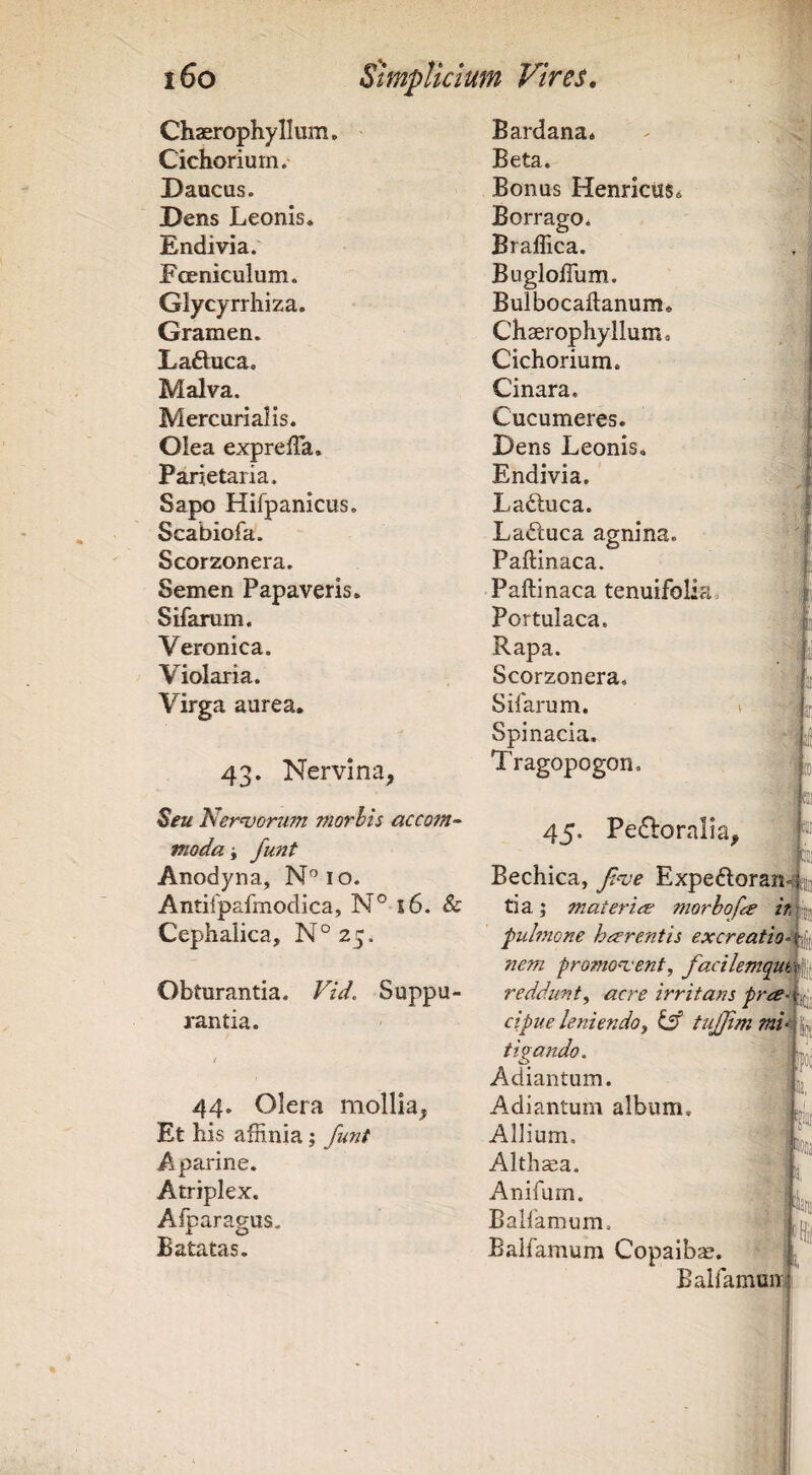 Chaerephyllum. Bardana* Cichorium. Beta. Daucus. Bonus Henricus* Dens Leonis* Eorrago. Endivia. Braffica. Fceniculum. BuglolTum. Glycyrrhiza. Bulbocaftanum* Gramen. Chaerophyllum, Laftuca. Cichorium. Malva. Cinara, Mercurialis. Cucumeres. Olea expreffia* Dens Leonis, Parietaria, Endivia. Sapo Hifpanicus. Ladtuca. Scabiofa. Laftuca agnina. Scorzonera. Paftinaca. Semen Papaveris. Paftinaca tenuifoliSi Sifarum. Portulaca. Veronica. Rapa. Violaria. Scorzonera, Virga aurea. Sifarum. Spinacia. 43. Nervina, Tragopogon. .1 i Seu Nervorum morhis accom- tnoda i funt Anodyna, N”io. Antifpafmodica, N° i6.Sc Cephalica, N°25. b 45. Peftoralla, Obturantia. Vid. Suppu- i-antia. 44, Olera mollia, Et his affinia; funt Aparine. Atriplex. Afparagus. Batatas. Bechica, fve Expefloran-pt tia; materic:e morhofce fulmone harentis excreatio- nem promovent, facilemquk reddunt^ acre irritans prce- cipue leniendoj tufjim mv tigando. Adiantum. Adiantum album. Allium. Althsa. Anifurn. Bairamum. Balfamum Copaibae. Balfamun 'Fi |iiii toiij