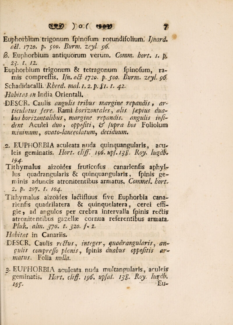 # Euphorbium trigonum fpinofum rotundifolium. Jjnard. 77219, p. jm Burm. zeyl ()6. &. Euphorbium antiquorum verum. Comm. hort. /. p. « 2j. r, /2. Euphorbium trigonum & tetragonum fpinofum, ra¬ mis compreffis. IfruaB ljzo* p.joo. Burm. zeyl gff Schadidacalli. Rheed. mal.i.2.p.gi. t. 42. Habitat in India Orientali. DESCR. Caulis angulis tribus margine repandis, ar¬ ticulatus fere. Rami horizontales, alis fecpius dua¬ bus horizontalibus, margine repandis. angulis infi¬ derit Aculei duo % oppofiti, &T5 /upra hos Foliolum minimum, ovato-laneeolatuniy deciduum, 2. EUPHORBIA aculeata nuda quinquangularis, acuk leis geminatis. Hort. tliff. 196* upf. i^g. Roy. luqdb* 194• Tithymalus aizoides fruticofus canarienfis aphyl- Ius quadrangularis & quinquangularis, fpinis ge¬ minis aduncis atronitentibus armatus* CommeL hort. , 2. p. 2r>7« t. 104. Tithymalus aizoides Iadifiuus five Euphorbia cana- ricnfis quadrilatera & quinquelatera, cerei effi¬ gie, ad angulos per crebra intervalla fpinis redis atronitentibus gazellae cornua referentibus armata. P/77A. alm. J70. /. J20. /• 2. Habitat in Canariis. DESCR. Caulis rcBus, integerr quadrangularis, an-~ git iis ccmpreffo planis fpinis duabus cppqfitis ar¬ matus. Folia nulla. 3. EUPHORBIA aculeata nuda mulfangularis, aculeis geminatis. /Trr. cliff. 196. upfah 138. Roy,. liigdk