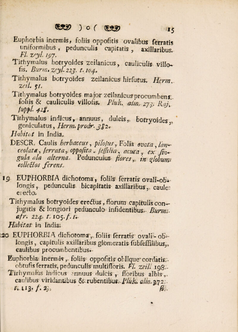 Euphorbia inermis, foliis oppofitis ovalibus ferratis uniformibus, pedunculis capitatis 5 axillaribus» Fi isyl. i(jy. Tithymaius botryoides zeilanicus, cauliculis, villo- fis. Burm» zeyl. 223. t-104* Tithymaius botryoides zeilanicus hirfutus. Herm. zeil. ?/, Tithymaius botryoides major zeilanicus procumbens:, foliis & cauliculis villofiSe Fluk aim, 272. iia.j- fuppf. 42f* Tithymaius indicus, annuus, dulcis,,, botryoides geniculatus, Herm. prodr. 3$2* T' Habitat in India* JDESCR, Caulis herbaceus, pilojusy Folia ovata lan¬ ce olat a , ferrata, oppofitafefftUa, acuta T ex Jin« gula ala alterna. Pedunculus flores in qlobww collectos ferens\ ig EUPHORBIA dichofoma, foliis ferratis ova!l*obV longis , pedunculis bicapifati* axillaribus,, caulem e reda. Tithymaius botryoides ereftus, florum capitulis con¬ jugatis & longiori pedunculo infidentibus*- Burmt afr. 224. 1.105././;^ Habitat in India. 20 EUPHORBI A dichotoma^ foliis ferratis ovalia ob¬ longis 9 capitulis axillaribus glomeratis fubfeffiiibus^ caulibus procumbentibus** Euphorbia- inermis,, foliis oppofitisr oblique*cordatis;- obtufis ferratis, peduncuHs muItiHoris. FI. zeil! igfr, Tirhymalus Indicus -rinuus dulcis , floribus albis caulibus viridantibus rubentibus..Fluk. alin.^72;- fi-112