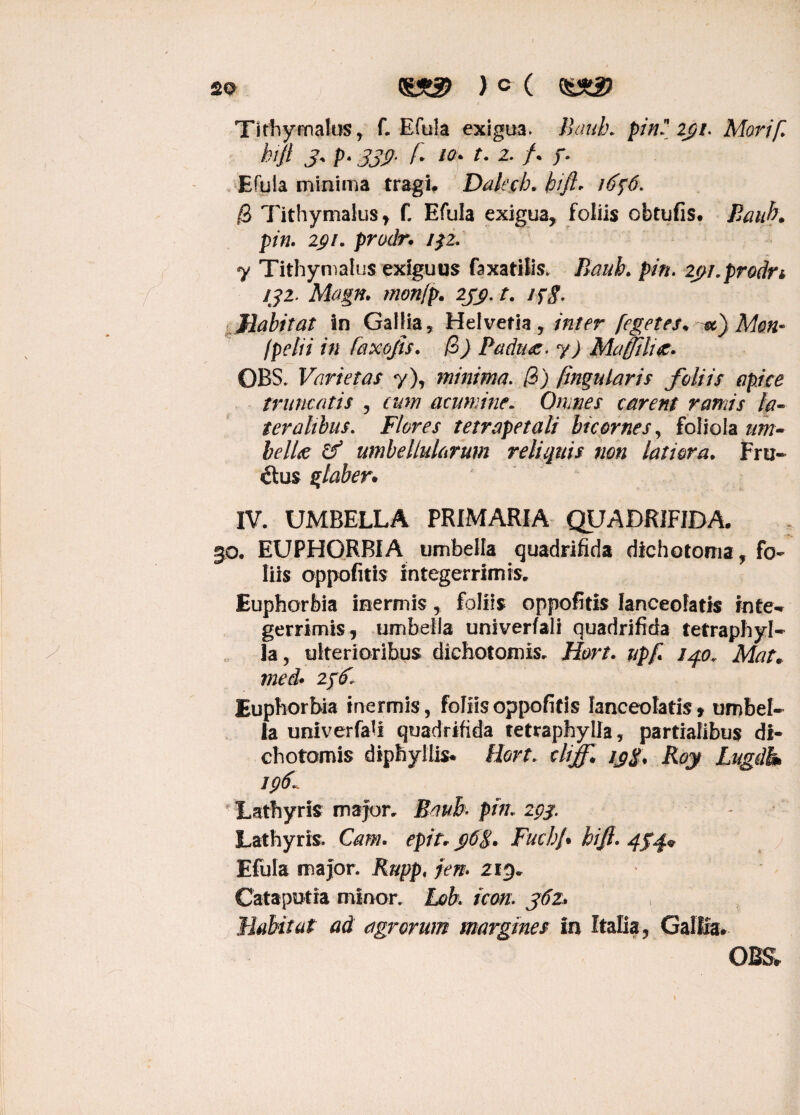 so ) c ( Tithymalus, f. Efula exigua, llaub. pin' 231. Morif. hifi 3' P* 339- f* W' t. 2. f. f. Efula minima tragi, Daletf:. bift* i6p6. 0 Tithymalus y f. Efula exigua, foliis obtufis. Eaub. pin. igi. prodr. 132. y Tithymalus exiguus faxatilis. Bank pin. 2j}i,prodrt 132. Magn. rnonfp. 233. t. ifg. Habitat in Gallia, Helvetia, inter fegetes* &), Mon- /pelii in faxofis. 0) Padn<e. y) Maffiltte. OBS. Varietas y), minima. /?) (insularis foliis apice truncatis , cum acumine. Omnes carent ramis la¬ teralibus. Flores tetrapetali bicornes, foliola um¬ bellae & umbellularum reliquis non latiora. Fru¬ ctus glaber. IV. UMBELLA PRIMARIA QUADRIFIDA. 30. EUPHORBIA umbella quadrifida dichotoma, fo¬ liis oppofitis integerrimis. Euphorbia inermis, foliis oppofitis lanceofatis inte-r gerrimis, umbella univerfali quadrifida tetraphyl- la, ulterioribus diehotomis. Hort. upfi 140, Mat, med* 236. Euphorbia inermis, foliis oppofitis lanceolatis» umbel¬ la univerfali quadrifida tetraphylla, partialibus dl- chotomis diphyllis* Hort. cliff. tj$, Roy Lngdh 196^ Lathyris major. Raub pin. 293. Lathyris. Cam. epit. $6$. FuchJ• hifi. 434« Efula major. Rupp, jen* 213. Catapotia minor. Lob. icon. 362» Habitat ad agrorum margines in Italia, Gallia. OBS*