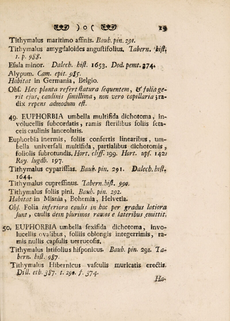 essa? ) o e essa? *§ Tithymalus maritimo affinis. Bauh. piri. 2p. Tithymalus amygdaloides anguftifolius. labem, [bift* ]• p. 988. Efula minor. Dalech. hifl. 1653. D0d.pemt.374* Alypum. Carn. epit. y$j. Habitat in Germania, Belgio. Obf. Hzc planta refert datura fequentem, folia ge¬ rit ejus, caulinis fimittima, »0« vero capillaria 5 ra¬ dix repens admodum efl. 49. EUPHORBIA umbella multifida diebotoma, in« volucellis fubcordatis > ramis Herilibus foliis feta- ceis caulinis lanceofatis. Euphorbia inermis, foliis confertis linearibus, urn- bella univerfali multifida, partialibus dichotomis f foliolis fubrotundis. Hort. clrjf. 199. Hort. upf. 142,» lioy* lugdb. ip 7. Tithymalus cypariffias. Bauh.piri. 291. Baleck.hr (l^ 1644* Tithymalus cupreflinus. labern.hift. $j)Q, Tithymalus foliis pini, i>W;. p/>2. 2^2. Habitat in Misnia, Bohemia, Helvetia. Obf. Folia inferiora caulis in hac per gradus latiora Junt y caulis dem plurimos ramos e lateribus jmittit* 50« EUPHORBIA umbella fexifida dichotoma, Invo- lucellis ovalibus, folliis oblongis integerrimis, ra¬ mis nullis capfulis uerrucofis. Tithymalus latifolius hifponicus. Bauh. pin. 291. Ia* berru bifl. 087’ A Tithymalus Hibernicu* vafculis muricatis eredis, DiU. etb.387. t. i(j». f. 374. Ea-