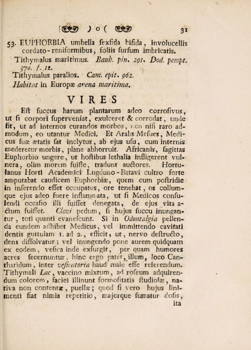 53. EUPHORBIA umbella fexfida bifida, involucellis cordato-reniformibus, foliis furfum imbricatis. Tithy malus maritimus. Bauh. pin. 2qi% Docf. pempt. 37 Q- f.Jl, ' # c Tithymalus paralios, Cani, epit. ^2. Habitat in Europae arena maritima. VIRES Efl: fuccus harum plantarum adeo corrofivus, ut fi corpori fuperveniat, exulceret & corrodat, unde fit, ut ad internos curandos morbos, r en nili raro ad¬ modum , eo utantur Medici. Et Arabs Mefues, Medi¬ cus fuoe aetatis fat inclytus, ab ejus ufu, cum internis mederetur morbis, plane abhorruit. Africanis, fagktas Euphorblo ungere, ut hoflibus lethalia infligerent vul¬ nera, olim morem fuifie, tradunt audtores. Hortu¬ lanus Horti Academici Lugduno-Batavi cultro forte amputabat caudicem Euphorbiae, quem cum poftridie I11 inferendo eflet occupatus, ore tenebat, os collum¬ que ejus adeo fuere inflammata, ut fi Medicos confu- lendi occafio illi fuiffet denegata, de ejus vita a- <Sum fuiffet. Clavi pedum, fi hujus fuccu inungan¬ tur , toti quanti evanefeunt. Si in Odontalgia pellen¬ da eundem adhibet Medicus, vel immittendo cavitati dentis guttulam 1. ad 2*, efficit, ut, nervo deftru&o, dens diffolvatur; vel inungendo pone aurem quidquam ex eodem, vefica inde exfurgit, per quam humores acres fecernuntur. hinc ergo patet, illum, loco Can¬ tharidum , inter vejicatona haud male effe referendum. Tithymaii Lac, vaccino mixtum, ad rofeum adquiren- dum colorem, faciei illinunt formofitatis ffudiofe, na¬ tiva non contentae, puelise; quod fi vero hujus lini¬ menti fiat nimia repetitio, majerque fumatur dofis, ita