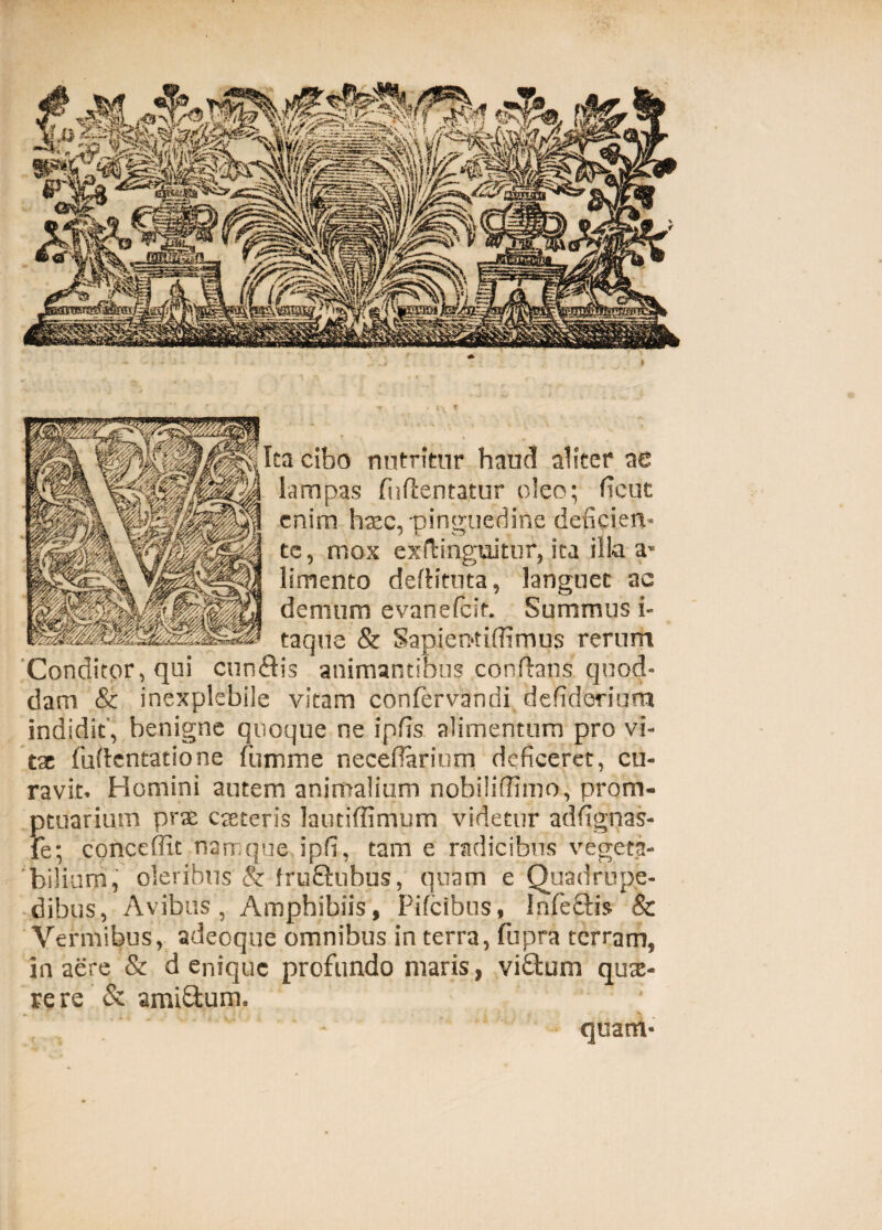 :a cibo nutritur haud aliter ae lampas fuftentatur oleo; fient enim haec, pinguedine deficien¬ te, mox exftingoitur, ita illa a- limento deflituta, languet ac demum evanefeit. Summus i- taque & Sapiemtifiimus rerum Conditor, qui cun&is animantibus conflans quod¬ dam & inexplebile vitam confervandi defiderium indidit , benigne quoque ne ipfis alimentum pro vi¬ tae fuftentatione fumme necefiarinm deficeret, cu¬ ravit. Homini autem animalium nobilifrimo, prom¬ ptuarium prae creteris lautiffimum videtur adfignas- fe; conceffit namque, ipfi, tam e radicibus vegeta¬ bilium, oleribus & fru&ubus, quam e Quadrupe¬ dibus, Avibus, Amphibiis, Pifcibus, Infectis & Vermibus, adeoque omnibus in terra, fupra terram, in aere & denique profundo maris, vi£tum quae¬ rere & ami&um, , , - . quam-