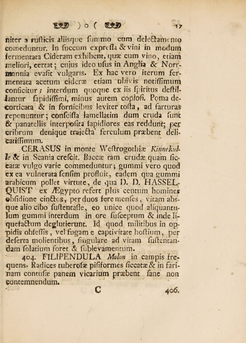 niter a ruflicis aliisque fommo cum dekflamcmo comeduntur. In fuccum exprtfk&vini in modum fermentata Cideram exhibent, quae cum vino, etiam Indiori, certat 5 cujus ideo ufus in Anglia & Norr- inonnia evafit vulgans. Ex hac vero iterum fer¬ mentata acetum eiderae etiam ubivis notiflimum conficitur ; interdum quoque ex iis fpiritus deftil- iantur fapidiffimi, minus autem coprofi. Poma de¬ corticata & in fornicibus leviter tofla, ad farturas reponuntur; confcifla lamellatim dum cruda funt & panatellis interpofita lapidiores eas reddunt; per cribrum denique traje&a” ferculum praebent deli- catiflimum. CERASUS in monte Wefirogotbiae Kinnehd- Is & in Scania crelcit. Baccae tam crudae quam fic* eatae vulgo varie commeduntur; gummi vero quod ex ea vulnerata fenfim profluit, eadem qua cummi arabicum pollet virtute, de qua 1). D. HASSEL- QU1ST ex /Egypto refert plus centum homines ©bfidione cin&cs, per duos fere menfes, vitam abs¬ que alio cibo fuftentafle, eo unice quod aliquantu¬ lum gummi interdum in ore fufeeptum & inde 3i- quefadum deglutierunt. Id quod militibus in op¬ pidis obleflis, vel fugam e captivitate hoflium, per aeferta molientibus, Angulare ad vitam fuftentan- dam folatium foret & fublevamentum. 404. FILI PENDULA Molon in campis fre¬ quens. Radices tuberofse pififormes ficcatae& in fari¬ nam contufae panem vicarium praebent /ane non contemnendum.' C 406.