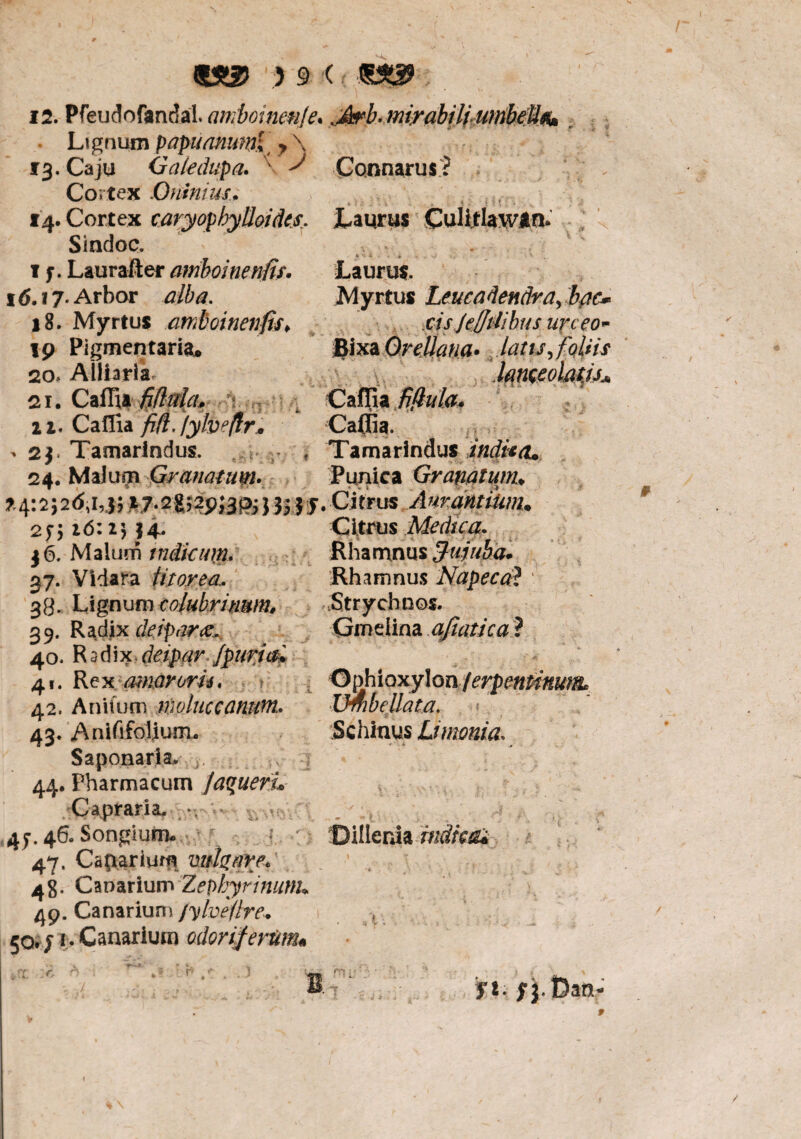 12. Pfeudofandal. ambotnenje* .Arb. mirabili umbeUs^ • Lignum papuanuml > \ 13. Caju Galedupa. v ^ Connatus? Cortex Quinius.. 14. Cortex caryopbylloides. Laurus CuHtlawttn. Sindoc. 1 f. Laurafter amboi neniis. Laurus. 16. i 7- Arbor alba. Myrtus Leucadendra> 'b#c* 18. Myrtus atnboinenfis* cisjefjtiibus urceo* 19 Pigmentaria. JJixaQreUana* latu,foliis so> Allhrla hnceoktjj* 21. Caflla fiflula* ? : Caffia fifhila. ii. Caflia fidfybeflr. Caffia. . 2j. Tamarindus. * Tamarindus indita* 24. Malum Granatum. Punica Granatum♦ 74:2526,1,3;i7.2g;2p;3pj}3j|j.Cirrus /Urant iUm. 25-516:2534. Citrus Medica. 3 6. Malum indicum. Rhamnus Jujuha* 37. Vidara litorea.. Rhamnus Napeca? 38. Lignum colubrinum, Strychnos. 3 9. Radix deipara. Gmeiina afiatica ? 40. Rsdix r/^/r fpurial ’ 41. Rex amaroru, Ophioxylon /erpenttnuut 42. Anitum moluccanum, VmbeUata. 43. Anififolium. Schinus Limonia. Saponaria. 44. Pharmacum JaquefL Capraria. 45-. 46. SongiuiTu DHIenia indica* 47. Caparium micarer 48. Canarium Zephyrinunu 49. Canarium t^lvellre. \ , 50,; 1. Canarium odoriferum* B. yt.yj.ftan-