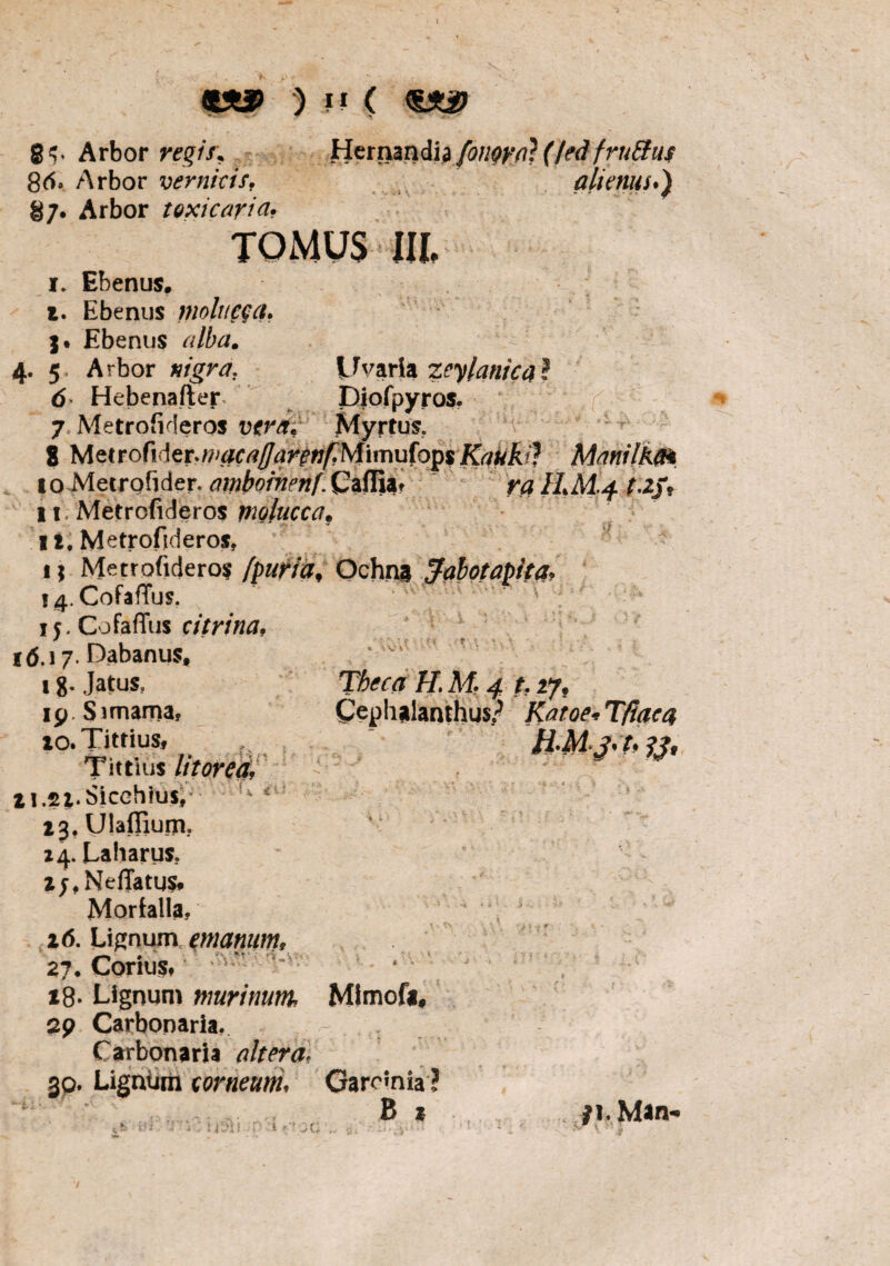 86, Arbor vernicif, 87. Arbor toxicaria? ) a ( “ > js-- * alienus.) tomus m. I. Ebenus. 1. Ebenus molucga» I* Ebenus alba. 4. 5, Arbor nigra. Uvaria zeylanica? 6 Hebenafter Diofpyros. 7 Metrofideros uera, Myrtus. 8 Metrofider^/w^^w^Mimufops Kakki} Manilkm io Metrofider. amboiiiehf.Caffiat nz ILM4 t-2tjV 11. Metrofideros molucca. it. Metrofideros, 1; Metrofideros Ochna Jabotapita? 14. CofafTus. 15. CofafTus citrina, 16.17. Dabanus, 18. Jatus. Tfyeca H. M. 4 127. 19 S imarna, Cephalanthus/ Katoe* T/iaca io.Tittius, H*M 3' h 33* Tittius litorea, ti.st.Sicehius, 23. Ulaffium. 24. Laharus, Zj, Neffatus» Morfalla, 16. Lignum enianum, 27. Corius, 18. Lignum murinum Mimofi* 29 Carbonaria. Carbonaria altera, 30. Lignum corneum* Garomia ? B * i: u su #1. Man-