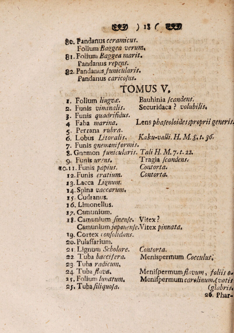 ts*2> ) is c go. Pandanus teramicus. Folium Baggea verum, 81. Folium Baggea marit. Pandanus repetis. g2. Pandanusjunicldarts. Pandanus earico/us, TOMUS V. 1. Folium lingv£. Bauhinia /candens] 2. Funis viminalis. Securidaca ? volubili Si 3. Funis quadrifidus< 4 Faba marina* Lens phafeotoidessproprii generis* 5, Per rana rubra* <5. Lobus Litoralis. Kaku-vaUi, K M j*. A 7. Funis gnomoni formis. 8» Gnemon f unicularis. Tali TL M. f* t. ii. 9. Funis Tragia (candens* 10.11 * Funis papius, Contorta< 12« Funis cratium. Contorta» 13. Lacca Lignum. 14, Spina vaccarum* 15 Cuchanul 16, LImonelluS. 17« Carnuntum. ig.Carnuntum fmenfe. Vitex? Carnuntum japmenfe.Vitex pinnata* 19. Cortex i Qtifolidanst r 2©. PulaRanunu 21. Lignum Scholare. 22. Tuba bdccifera. 23. Tuba radicum* 24. Tuba flava* 2 ?. Folium lunatum* 2 j, Tuba ftliquofa* Contorta* Menispermum Coccnlusl r - ,v Menifpermumfircum., foliis 6-» Menifpermum car«linum.(vatis (glabris< Phar-