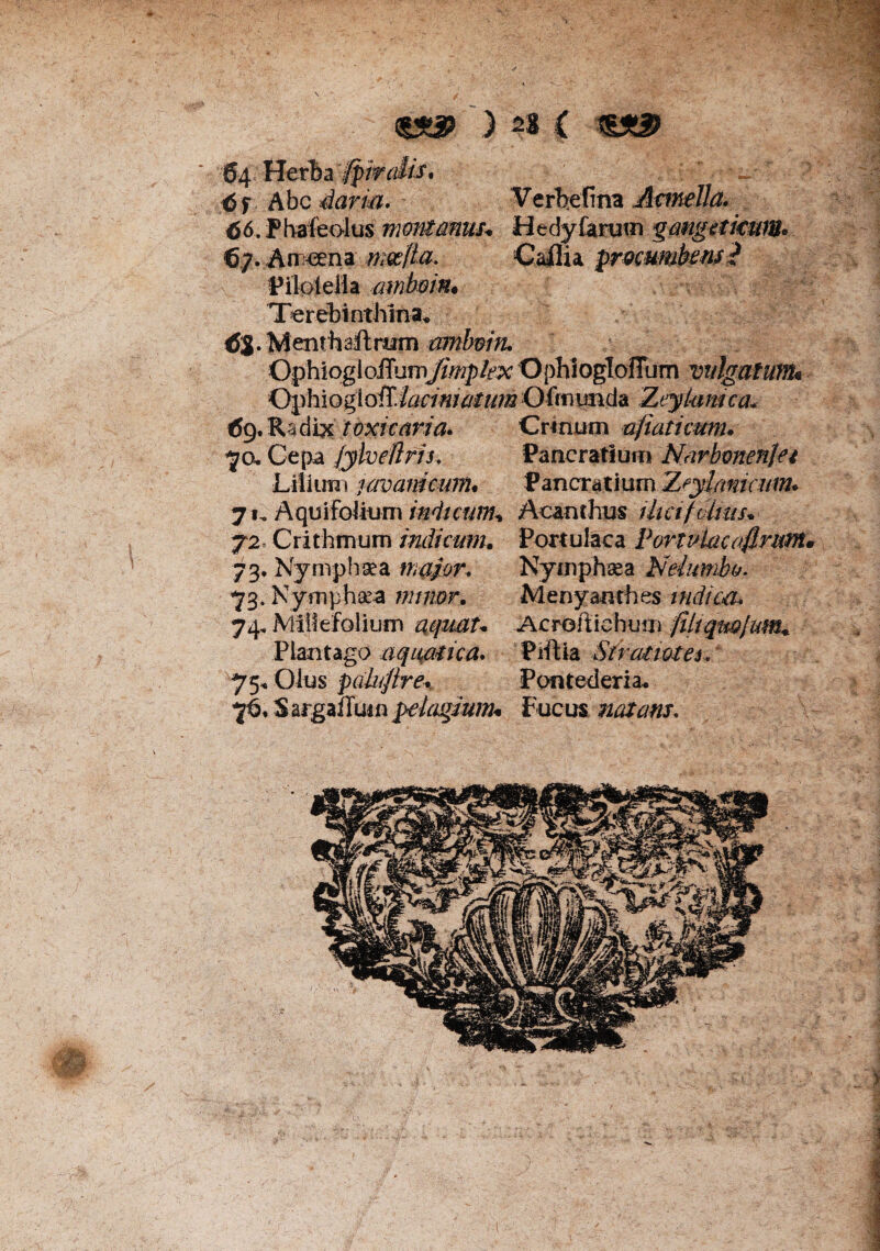 64 Vitxb^ ipwdist 6f Abc darw* Verbefina Aanella. 66. Phafeolus montanus* Hedyfarutn gangetkuw» 67. An^eena motfia. Cafiia procumbens? 'Pilpleiia amboin• Terebinthina* tfS.Menthaftram amboin. OphiogIoffumjimplex Ophioglofium vulgatum* Ophi ogtoiT. lemmatum Ofmunda Zeyi-amca* tfg.Radbc ioxicaria* Crinum afiatiam. 70. Cepa fylveflris. Pancratium Narbmenjet Lilium lavamcum. Pancratium.Zeylaniaim* 71, Aquifolium indicum* Acanthus iliaf cinis* 72, Crithmum indicum. Portulaca Portulae afirum* 73. Nymphaea maior. Nymphaea Neiumbo. 73. Nymphaea minor. Menyanrhes indica. 74. Millefolium aquau Acroftiehum filtqmjum* Plantago aquatica* Prftia Str anates. 75« Olus palujire*. Pontederia* 76, $ argalfuin pelagium* Fucus natans. 1