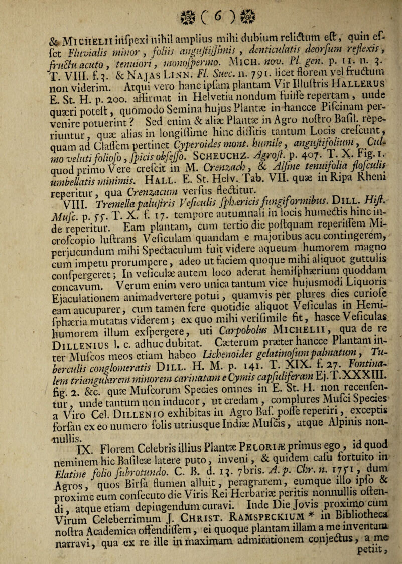 & Mi chelii infpexi nihil amplius mihi dubium rclidtum eft, quin ef- Tct Fluvialis minor , foliis augujiijjimis , denticulatis dcorfum reflexis, fructu acuto, tenuiori, monojpermo. Mich. hov. Pl. gen. p. ii. n. ?• T. VIII. £.■>. & Najas Linn. Fi Suec. n. 791. licet florem vel trucium non viderim. Atqui vero hanc ipfam plantam Vir Illuftris Hallerus E St H. p. 200. affirmat in Helvetia nondum fuiife repertam, unde quaeri poteft, quomodo Semina hujus Plantae in hancce Pifcinam per¬ venire potuerint ? Sed enim & aliae Plantae in Agro noftro Balil. repe- riuntur, qux alias in longillime hinc dillitis tantum Locis creicunt, quam ad Cladem pertinet Cyperoides rnont. humile, angujtifolhm, Cul¬ mo velutifoliofo, [picis obfejfo. Scheuchz. Agrofi. p. 407- T.X. Pig. t, quod primo Vere crefcit in M. Crenzach , & Alfine tenmjoha flofculis umbeUatis minimis. Hall. E. St. Helv. Tab. VII. quae in R.pa Rheni repetitur, qua Crenzacum verius fleditur. VIII. Tremellapaluflris Veftculis fphxnas fungiformibus. Dill. Hijt. Mufc p f f. T. X. f. 17. tempore autumnali in locis humedtis hinc in¬ de reperitur. Eam plantam, cum tertio die poftquam repenilem Mi- crofcopio luftrans Veficulam quandam e majoribus acu contingerem, perjucundum mihi Spedaculum fuit videre aqueum humorem magno cum impetu prorumpere, adeo ut faciem quoque mihi aliquot guttulis confpergeret; In veficulae autem loco aderat hemilphcerium quoddam concavum. Verum enim vero unica tantum vice hu jusmodi Liquoris Ejaculationem animadvertere potui, quamvis per plures dies curiole eam aucuparer, cum tamen fere quotidie aliquot Veficulas m Henn- fphxria mutatas viderem; ex quo mihi venfimile ht, hasce V eliculas humorem illum exfpergere, uti Carpobolus Michelii, qua de re Dillenius 1. c. adhuc dubitat. Caeterum praeter hancce Plantam in¬ ter Mufcos meos etiam habeo Lichenoides gelatinofumpalmatum, Tu¬ berculis conglomeratis Dill. H. M. p. 141- T. XIX. {.17. Fmtina- leni trianmhirem minorem carinatam e Cymis capjulijeram Ej. I. AA Alii. 2. & c. quse Mufcorum Species omnes in E. St. H. non recenien- tur unde tantum non inducor, ut credam , complures Muici Species a Viro Cei. Dillenio exhibitas in Agro BaLpode reperiri^ exceptis forfan ex eo numero Tolis utriusque Indiae Mufcis ? atque Alpinis non- ^nullis nU IX Florem Celebris illius Piant* PELORliE primus ego , id quod neminem hic Bafile* latere puto, inveni, & quidem cafu fortuito 111 Elatiue folio fubrotundo. C. B. d. 1?. 7bris. A.p. Chr.n. r 7 f r, dum Aeros, quos Birfa flumen alluit, peragrarem, eumque illo lplo & proxime eum confccuto die Viris Rei Herbari* peritis nonnullis olten- di, atque etiam depingendum curavi. Inde Die Jovis proximo cum Virum Celeberrimum J. Christ. Ramspeckium * m Bibliotheca noftra Academica offendiflem, ei quoque plantam illam a me inventam narravi qua ex re ille in maximam admirationem conjectus, a me petut >