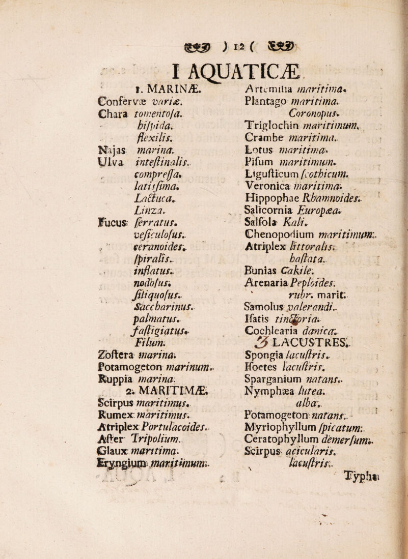I AQUATICAE. f. MARINA. Artemiiia maritima* Confervae variie. Plantago maritima. Chara tomento (a. Coronopus. bi/pida. Triglochin maritimum flexilis. Crambe maritima.. Najas marina: Lotus maritima• Ulva inteflinalis.. Pi fu m maritimum. compreffa. Ligufticum (cothicum. - latis fima. Veronica maritima. Lactuca.. Hippophae Rbamnoides. Linza. Salicomia Europaea. Fucus (ferratus. Salfola JfaAV veficulofus. Chenopodium maritimum, 7 ceranoides. Atriplex Ut toralis: 1piralts.. haflata. inflatus.. Bunias Cakile. nodo/us• Arenaria Peploides: Jiliquofus. rubr. marit; Saccbarims- Samolus palerandi, palmatus. I fatis tinSjfpria. fafliqiatus* Cochlearia dani c a. 1 * w «; i 4L ACUSTRESi. Zbftera marina. Spongia lacuflris.. Fotamogeton marinum. Ifoetes lacuflris. Ruppia marina Sparganium natans.. 2v MARITIMA. Nymphaea /&/?#• Scirpus maritimus. alba Rumex: maritimus. Pbtamogeton natans Atriplex Portu laceri des*. Myriophyllum (picatum: Affer Tripolium. Ceratophyllum demer/hm Claux: maritima. Scirpum aci cui aris. firyngiuini maritimum:. lamftris. t - -f - 'j *'  /v ^ v Typhi * - V*»