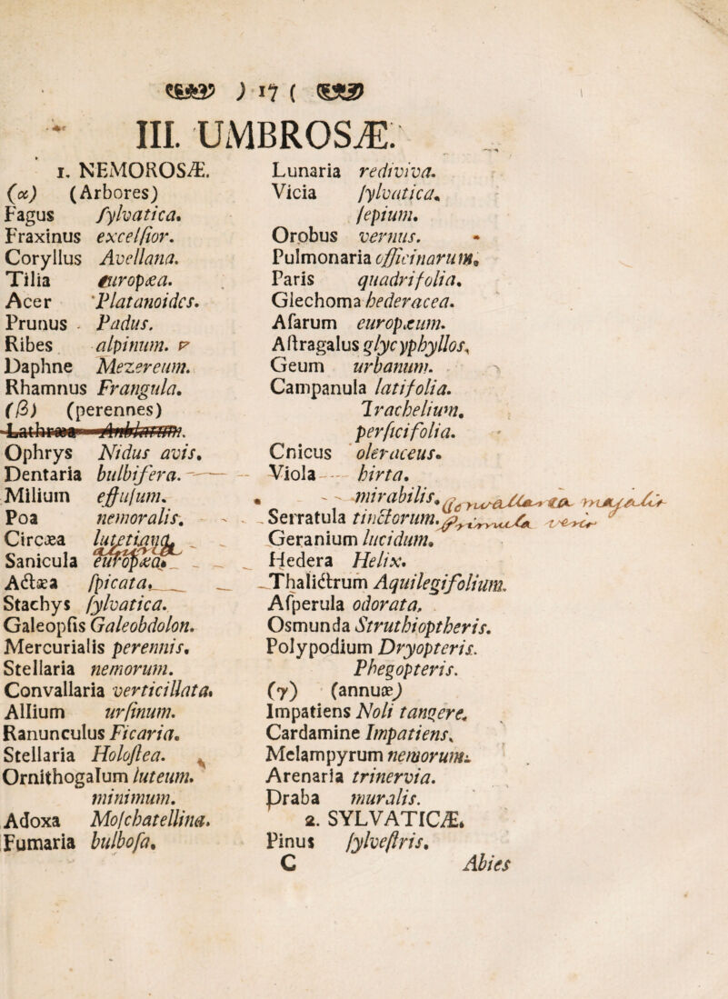 *£*£> ) I? ( 0X3) III. UMBROSA. i, NEMOROSAE. (oc) (Arbores) Fagus fylvatica. Fraxinus excelfior. Coryllus Avellana. Tilia turop&a. Acer 'Platanoidcs. Prunus - Padus, alpinum. f Mezereum. Rhamnus Frangula. (13) (perennes) Ribes Daphne Ophrys Nidus avis. Dentaria bulbifera. Miliuin effufum. Poa nemoralis. Circia Sanicula A&sea fpicata.__ Staehys fylvatica. Galeopfis Galeobdolon. Mercurialis perennis• Stellaria nemorum. Convallaria verticillata. Allium urfinum. Ranunculus Ficaria„ Stellaria Holoftea. % Ornithogalum luteum. minimum. Adoxa Mo/cbatellina. Fumaria bulbofa. Lunaria rediviva. Vicia fylvatica• fepium. Orobus vernus. Pulmonaria officinarum* Paris quadri folia. Giechoma hederacea. A farum europceum. Aftragalus q/ycyphyllos. Geum urbanum. Campanula latifolia. Irachelium. per fici folia. Cnicus oleraceus. Viola-— hirta. » - - - mirabilis* ^ vu/ecfC*** ryLAy/xffy - Serratula tinctorumt * Geranium lucidum. Hedera Helix. JThalidtrum Aquilegi folium. Afperula odorata, Osmunda Struthioptheris. Polypodium Dry opteris. Pheqopteris. (7) (annu#) Impatiens AW/ tangere. Cardamine Impatiens% Melam pyrum nemorum± Arenaria trinervia. Praba muralis. 2. SYLVATIC&. Pinus fylveflris. C Abies