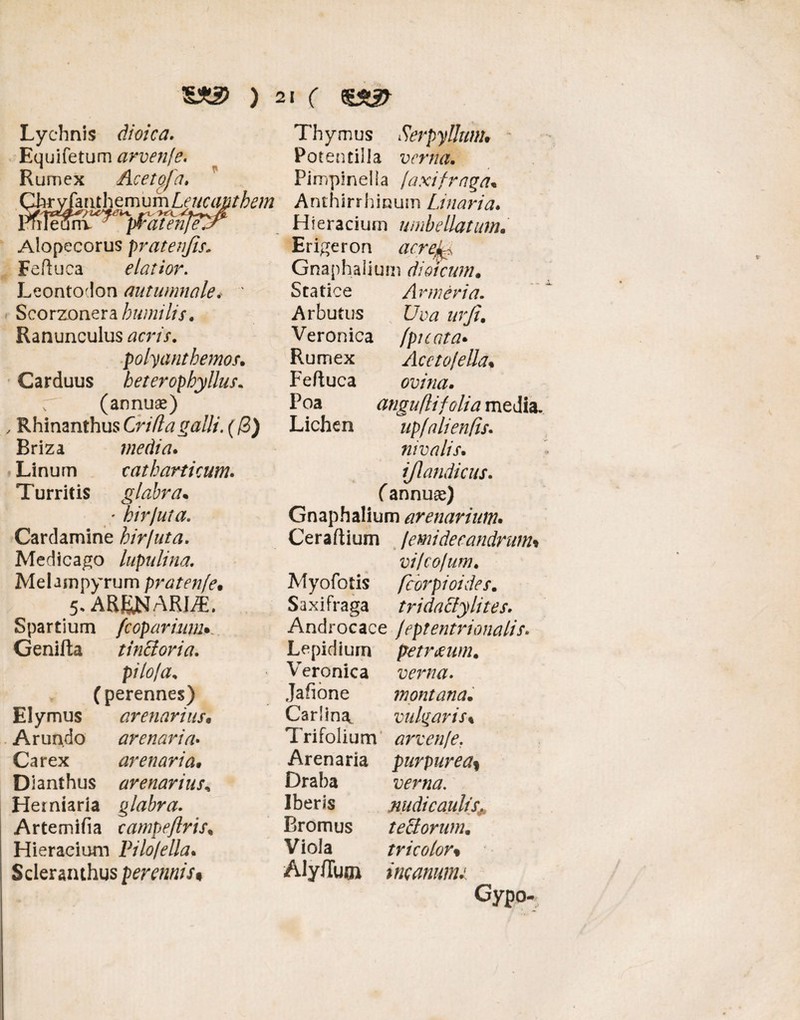 Lychnis dioica. Equifetum arvenje. Rumex Aceto! a» (^ryfanthemurnLeucapthem ^pfatenfef^ Alopecorus pratenfis. Feftuca elatior. Leontodon autumnale, ' Scorzonera humilis. Ranunculus acris. polyanthemos. Carduus heterophyllus. f (annuae) , Rhinanthus Grifla galli. (/3) Briza media. Linum catharticum. Turritis glabra* - hirjuta. Cardamine hir/uta. Medicabo lupulina. Melampyrum pratenfe• 5, ARJSNARLE. S pa r t i u m fcopariunu Genifta tincloria. pilo!a, ; ( perennes) EI y mus arenarius• Arundo arenaria• Carex arenaria• Dianthus arenarius, Heiniaria glabra. Arte mi fi a campeflris, Hieracium Pilo/ella. S der an thus perennis% Th y mus Serpyllum. Potentilla verna. Pimpinella jaxi fraga* Anthirrhinum Linar i a. Hieracium wnbellatum. Eri^eron Gnaphalium dioicum. Statice Armeria. Arbutus urji. Veronica (picata* Rumex Aceto/ella* Fefluca ovina. Poa anguflifolia media. Lichen upfalienfis. nivalis. (flandi cus. (annuae) Gnaphalium arenarium. Ceraftium lemidecandrum% vilcofum. Myofotis fcorpioides. S a x i fr a ga r r i da cly lites. Androcace feptentrionalis. Lepidium petraeum. Veronica verna. Jafione montana• Carlina, vulgaris % Trifolium arven/e. Arenaria purpurea9 Draba Iberis nudicaulis, Bromus teLforum. Viola tricolor% AlyfTum incanunu Gypo-