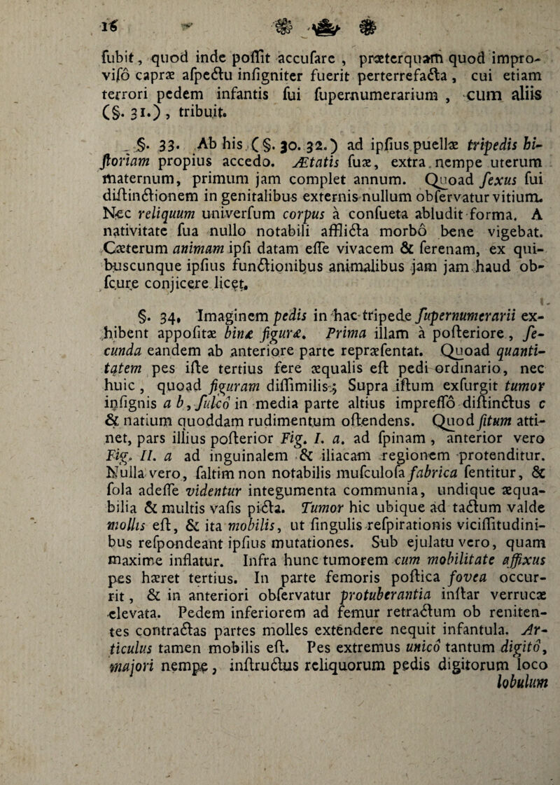 fubit, quod inde poflit accufare , praeterquam quod impro- vifo capras afpecftu infigniter fuerit perterrefa&a , cui etiam terrori pedem infantis fui fupemumerarium , cum aliis (§• 31.) ? tribuit. _§. 33. Ab his (§. 30. 32.) ad ipfius puellas tripedis hi- ftonam propius accedo. Altatis fuas, extra , nempe uterum maternum, primum jam complet annum. Quoad fexus fui diftin<ftionem in genitalibus externis nullum obfervatur vitium. Nec reliquum univerfum corpus a confueta abludit forma. A nativitate fua nullo notabili affli&a morbo bene vigebat. Caeterum animam ipfi datam effe vivacem & ferenam, ex qui¬ buscunque ipfius fun&ionit)us animalibus jam jam haud ob- fcure conjicere licet, §. 34, Imaginem pedis in hac tripede fup er numerarii ex¬ hibent appofitas bint figur£. Prima illam a p o fleri ore , fe- cunda eandem ab anteriore parte repraefentat. Quoad quanti¬ tatem pes ifte tertius fere asqualis eft pedi ordinario, nec huic , quoad figuram diflimilis:.; Supra iflum exfurgit tumor ipfignis a b, fidco in media parte altius impreflo diftin&us c & natium quoddam rudimentum offendens. Quod fitum atti¬ net, pars illius pofterior Fig. /. a. ad fpinam , anterior vero Figo II. a ad inguinalem tk iliacam regionem protenditur. Nulla vero, faltimnon notabilis mufculofa fabrica fentitur, & fola adede videntur integumenta communia, undique aequa¬ bilia & multis vafis pkfta. Tumor hic ubique ad tadlum valde mollis eft, & ita mobilis, ut Angulis refpirationis viciflitudini- bus refpondeant ipfius mutationes. Sub ejulatu vero, quam maxime inflatur. Infra hunc tumorem cum mobilitate affixus pes haeret tertius. I11 parte femoris poftica fovea occur¬ rit , & in anteriori obfervatur protuberantia inftar verrucae elevata. Pedem inferiorem ad femur retra<ftum ob reniten- tes contra&as partes molles extendere nequit infantula. Ar¬ ticulus tamen mobilis eft. Pes extremus unico tantum digito, majori nempe, inftrudus reliquorum pedis digitorum loco lobulum