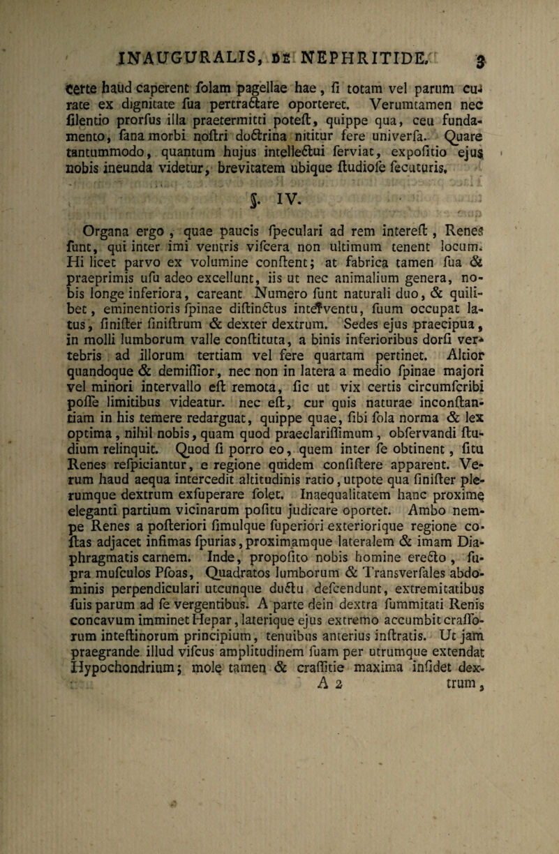 texte haud caperent folam pagellae hae, fi totam vel parum cuj rate ex dignitate fua pertra&are oporteret. Verumtamen nec filentio prorfus illa praetermitti poteft, quippe qua, ceu funda¬ mento, fana morbi noftri doCirina nititur fere univerfa. Quare tantummodo, quantum hujus intellectui ferviat, expofitio ejus nobis ineunda videtur, brevitatem ubique ftudiofe fecu turis, 5. IV. Organa ergo , quae paucis fpeculari ad rem intereft, Renes funt, qui inter imi ventris vifcera non ultimum tenent locum. Hi licet parvo ex volumine confient; at fabrica tamen fua & praeprimis ufu adeo excellunt, iis ut nec animalium genera, no¬ bis longe inferiora, careant Numero funt naturali duo, & quili¬ bet, eminentioris/pinae diftin&us interventu, fuum occupat la¬ tus, finifier finifirum & dexter dextrum. Sedes ejus praecipua, in molli lumborum valle confiituta, a binis inferioribus dorfi ver* tebris ad illorum tertiam vel fere quartam pertinet. Altior quandoque & demiflior, nec non in latera a medio fpinae majori vel minori intervallo eft: remota, fic ut vix certis circumfcribi pofle limitibus videatur, nec eft, cur quis naturae inconftan- tiam in his temere redarguat, quippe quae, fibi fola norma & lex optima , nihil nobis, quam quod praeclariflimum , obfervandi ftu- dium relinquit. Quod fi porro eo, quem inter fe obtinent, fitu Renes refpiciantur, e regione quidem confiftere apparent. Ve¬ rum haud aequa intercedit altitudinis ratio, utpote qua finifier ple¬ rumque dextrum exfuperare folet. Inaequalitatem hanc proxime eleganti partium vicinarum pofitu judicare oportet. Ambo nem¬ pe Renes a pofteriori fimulque fuperiori exteriorique regione co¬ llas adjacet infimas fpurias,proximamque lateralem & imam Dia¬ phragmatis carnem. Inde, propofito nobis homine ere Cio , fu- pra mufculos Pfoas, Quadratos lumborum & Transverfales abdo¬ minis perpendiculari utcunque duChi defcendunt, extremitatibus fuis parum ad fe vergentibus. A parte dein dextra fummitati Renis concavum imminet Hepar, laterique ejus extremo accumbit craffo- rum inteftinorum principium, tenuibus anterius inftratis. Ut jam praegrande illud vifcus amplitudinem luam per utrumque extendat Hypochondrium; mole tamen & craftitie maxima infidet dex- A 2, trum 5