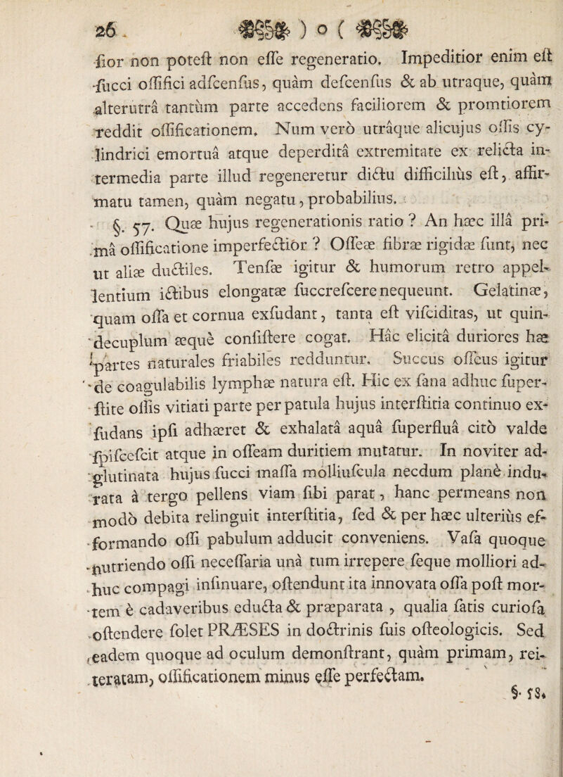 lior non poteft non efTe regeneratio. Impeditior enim eft -fiicci offifici adfcenfus, quam defcenfus & ab utraque, quam alterutra tantum parte accedens faciliorem & pronatiorem reddit offificationem* Num vero utraque alicujus olfis cy¬ lindrici emortua atque deperdita extremitate ex relicta in¬ termedia parte illud regeneretur diffcu difficilius eft , affir¬ matu tamen, quam negatu , probabilius, , § Quse hujus regenerationis ratio ? An haec illa pri¬ ma offificatione imperfeffior ? Offeae fibrae rigidae fiunt, nec ut alite du&iles. Tenfae igitur & humorum retro appel¬ lentium iftibus elongatae fuccreficere nequeunt. Gelatinae, quam offa et cornua exfiudant, tanta eft vifciditas, ut quin- decuplum seque confiftere cogat. Hac elicita duriores hss 'partes naturales friabiles redduntur. Succus ofletis igitur ’*de coagulabilis lymphae natura eft. Hic ex fana adhuc fuper- flite ollis vitiati parte per patula hujus interftitia continuo ex- fudans ipft adhaeret & exhalata aqua fiuperflua cito valde fplfcefcit atque in offeam duritiem mutatur. In noviter ad- ‘glutinata hujus fiucci maffa molliufcula necdum plane indu-* rata d tergo pellens viam fibi parat, hanc permeans non modo debita relinguit interftitia, fed & per haec ulterius ef- formando offi pabulum adducit conveniens. Vafia quoque -nutriendo offi neeeffaria unsi tum irrepere feque molliori ad¬ huc compagi infinuare, offendunt ita innovata offa poft mor¬ tem e cadaveribus edufta & praeparata , qualia fiatis curiofia offendere folet PRfiESES in do£trinis fiuis ofteologicis. Sed , eadem quoque ad oculum demonftrant, quam primam, rei- seratam, offificationem minus effe perfeftam.