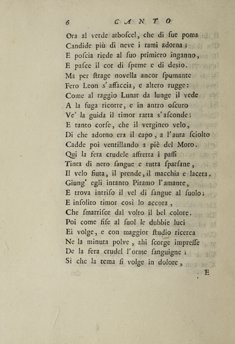 Ora a! verde arbofcel, che di Tue poma Candide più di neve i rami adorna > E pofeia riede al fuo primiero inganno, E pafee il cor di fpeme e di desìo. Ma per ftrage novella ancor fpumante Fero Leon s affaccia, e altero rugge: Come al raggio Limar da lunge il vede A la fuga ricorre, e in antro ofeuro Ve la guida il timor ratta s’afeonde; E tanto corfe, che il vergineo velo, Di che adorno era il capo, a Laura fciolto Cadde poi ventillando a piè del Moro. Qui la fera crudele affretta i palli Tinta di nero fangue e tutta fparfane, Il velo fiuta, il prende, il macchia e lacera. Giung’ egli intanto Piramo l'amante, E trova intrifo il vel di fangue al fuolo; E infolito timor così lo accora , Che fmarrifee dal volto il bel colore. Poi come fife al fuol le dubbie luci Ei volge, e con maggior Audio ricerca Ne la minuta polve , ahi feorge impreffe De la fera crudel forme fanguigne j Sì che la tema fi volge in dolore , * E 0