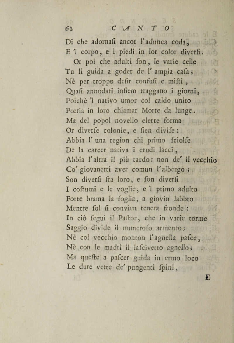 Di che adornafi ancor l'adunca coda, E 1 corpo, e i piedi in lor color diverfi. Or poi che adulti fon, le varie celle Tu li guida a goder de f ampia cafa 5 Nò per troppo defir confufi e mifti , Quafi annodati infiem traggano i giorni, Poiché I nativo umor col caldo unico Potria in loro chiamar Morte da lunge. Ma del popol novello elette forma Or diverfe colonie, e fien divife: Abbia T una region chi primo fciolfe De la career nativa i crudi lacci, Abbia l'alrra il piu tardo: non de' il vecchio Co? giovanetti aver comun V albergo ; Son diverfi fra loro, e fon diverfi I coftumi e le voglie, e 1 primo adulto Forte brama la foglia, a giovin labbro Mentre fol fi convieni tenera fronde : In ciò fegui il Pafior, che in varie tórme Saggio divide il numerofo armento; Nè col vecchio monton ragne!la pafee. Nè .con le madri il lafcivetto agnello; Ma quelle a pafeer guida in ermo loco Le dure vette de' pungenti fpini,