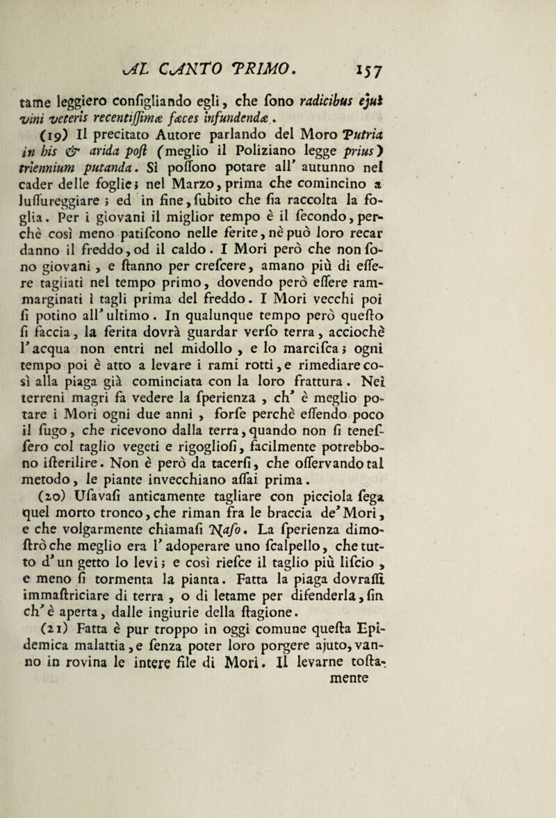 tame leggiero configliando egli, che fono radicibus ejui vini veteris recentijjìma faces infundenda . (19) Il precitato Autore parlando del Moro Tutria in bis & avida poft (meglio il Poliziano legge prius ) trlennium putanda. Si potfono potare all* autunno nel cader delle foglie; nel Marzo, prima che comincino a luflureggiare ; ed in fine,fubito che fia raccolta la fo¬ glia . Per i giovani il miglior tempo è il fecondo, per¬ chè così meno patifcono nelle ferite, nè può loro recar danno il freddo, od il caldo. I Mori però che non fo¬ no giovani, e ftanno per crefcere, amano più di effe- re tagliati nel tempo primo, dovendo però edere ram- marginati l tagli prima del freddo. I Mori vecchi poi fi potino all7 ultimo. In qualunque tempo però quello fi faccia, la ferita dovrà guardar verfo terra, acciochè T acqua non entri nel midollo , e lo marcifca ; ogni tempo poi è atto a levare i rami rotti, e rimediare co¬ sì alla piaga già cominciata con la loro frattura. Nei terreni magri fa vedere la fperienza , eh* è meglio po¬ tare i Mori ogni due anni , forfè perchè effondo poco il fugo, che ricevono dalla terra, quando non fi tenef- fero col taglio vegeti e rigoglio!], facilmente potrebbo- no ifterilire. Non è però da tacer!], che oflervando tal metodo, le piante invecchiano a!fai prima. (20) Ufavafi anticamente tagliare con picciola fega quel morto tronco, che riman fra le braccia de* Mori, e che volgarmente chiamafi ^afo. La fperienza dimo- flròche meglio era T adoperare uno fcalpello, che tut¬ to à’ un getto lo levi ; e così riefee il taglio più lifeio , e meno fi tormenta la pianta. Fatta la piaga dovrafli immaftriciare di terra , o di letame per difenderla , fin eh'è aperta, dalle ingiurie della ftagione. (21) Fatta è pur troppo in oggi comune quella Epi¬ demica malattia,e fenza poter loro porgere ajuto,van¬ no in rovina le intere file di Morì. Il levarne torta¬ mente