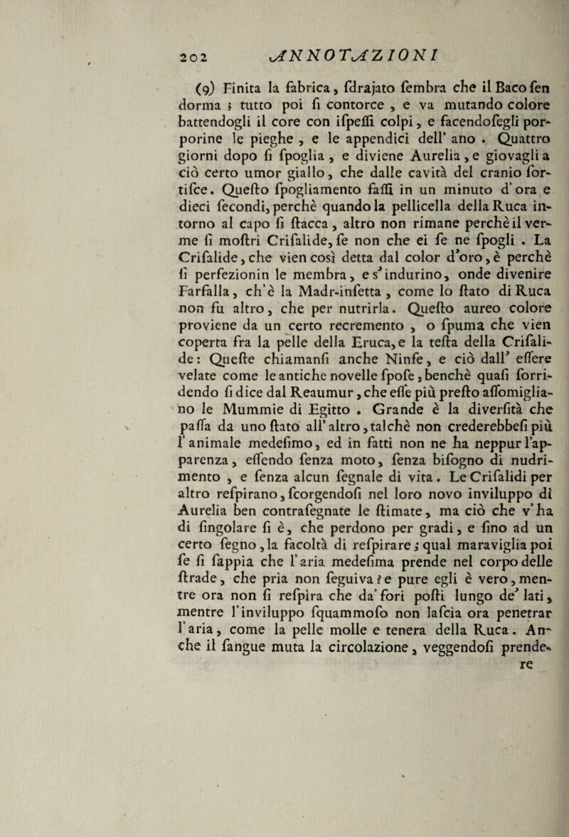 ^KKOT^ZIOKI (9) Finita la fabrica, fdrajato fembra che ilBacofen dorma j tutto poi fi contorce , e va mutando colore battendogli il core con ifpelfi colpi, e facendofegli por¬ porine le pieghe , e le appendici dell1 ano . Quattro giorni dopo fi fpoglia , e diviene Aurelia, e giovagli a ciò certo umor giallo, che dalle cavità del cranio for- tifce. Quello fpogliamento fallì in un minuto d’ora e dieci fecondi, perchè quando la pelliccila della Ruca in¬ torno al capo lì fiacca, altro non rimane perchè il ver¬ me lì moftri Crifalide, fe non che ei fe ne fpogli . La Crifalide,che viencosì detta dai color d’oro,è perchè lì perfezionin le membra, e s’indurino, onde divenire Farfalla, eh’è la Madr-infetta , come lo flato di Ruca non fu altro, che per nutrirla. Quello aureo colore proviene da un certo recremento , o fpuma che vien coperta fra la pelle della Eruca, e la tella della Crifali¬ de : Quelle chiamanfi anche Ninfe, e ciò dall’ eflere velate come le antiche novelle fpofe, benché quali forri- dendo fi dice dal Reaumur, che effe piu prello alfomiglia- no le Mummie di Egitto • Grande è la diverfità che paffa da uno flato all’altro, talché non crederebbe!! più l’animale medefimo, ed in fatti non ne ha neppurl’ap¬ parenza, elfendo fenza moto, fenza bifogno di nudri- mento , e fenza alcun fegnale di vita. Le Crifalidi per altro refpirano,fcorgendofi nel loro novo inviluppo di Aurelia ben contralegnate le flimate, ma ciò che v’ha di Angolare fi è, che perdono per gradi, e fino ad un certo fegno,la facoltà di refpirare; qual maraviglia poi fe fi fappia che l’aria medefìma prende nel corpo delle llrade, che pria non feguiva?e pure egli è vero,men¬ tre ora non lì refpira che da’fori polli lungo de’ lati, mentre l’inviluppo fquammofo non lafcia ora penetrar faria, come la pelle molle e tenera della Ruca. An~ che il fangue muta la circolazione, veggendolì prende** re