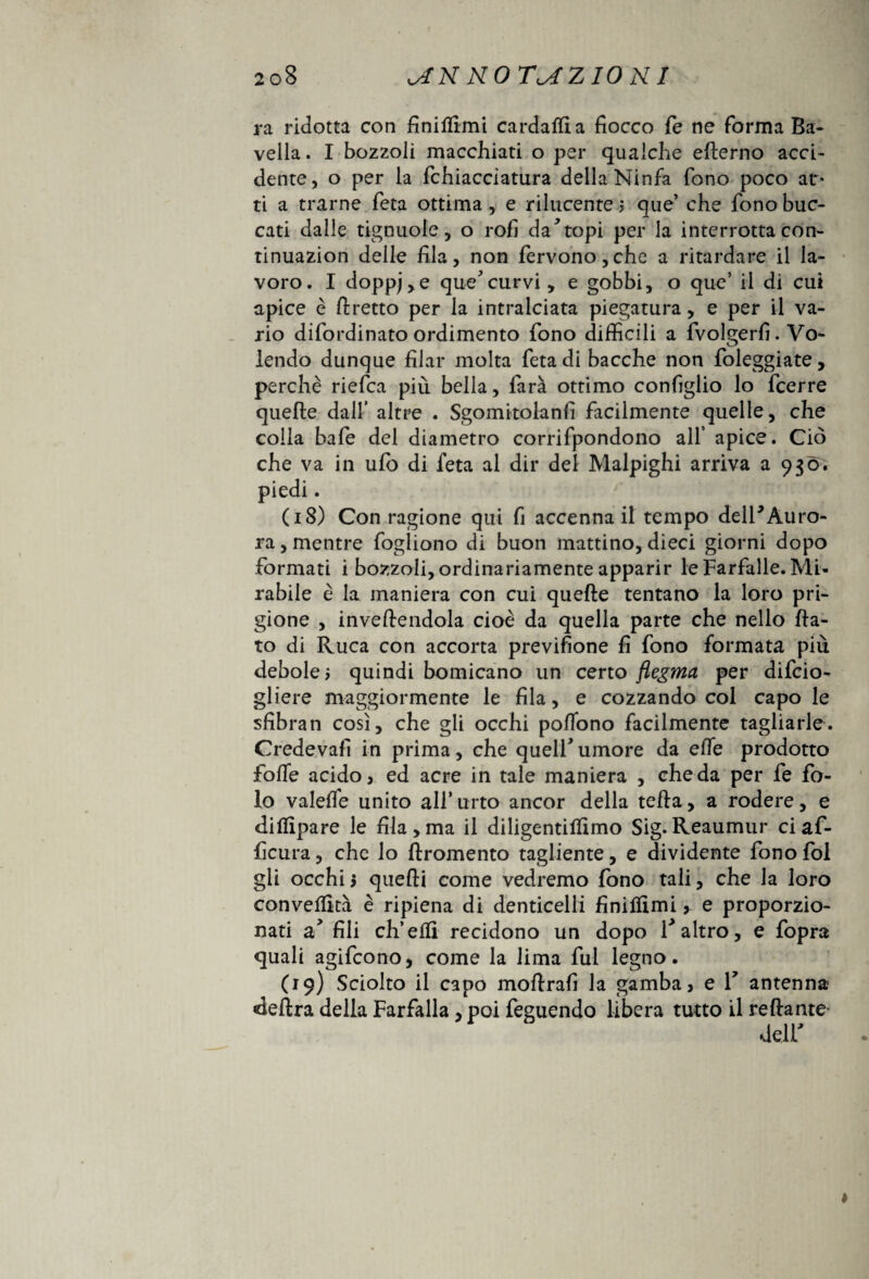 ra ridotta con finitimi cardarti a fiocco fé ne fiorirla Ba¬ vella. I bozzoli macchiati o per qualche efterno acci¬ dente, o per la fichiaccìatura della Ninfa fono poco atr- ti a trarne fieta ottima, e rilucente $ que’ che fono buc- cati dalle tignuole, o rofi da * topi per la interrotta con- tinuazion delle fila, non fervono,che a ritardare il la¬ voro. I doppj,e quecurvi, e gobbi, o que’ il di cui apice è firetto per la intralciata piegatura, e per il va¬ rio difiordinato ordimento fono difficili a fivolgerfi. Vo¬ lendo dunque filar molta fieta di bacche non fileggiate, perchè riefica più bella, farà ottimo configlio lo ficerre quelle dall’ altre . Sgomitolanfi facilmente quelle, che colla bafie del diametro corrifipondono all’ apice. Ciò che va in ufo di fieta al dir del Malpighi arriva a 930. piedi. (18) Con ragione qui fi accenna il tempo dell*Auro¬ ra , mentre fogliono di buon mattino, dieci giorni dopo formati i bozzoli, ordinariamente apparir le Farfalle. Mi¬ rabile è la maniera con cui quelle tentano la loro pri¬ gione , invertendola cioè da quella parte che nello fia¬ to di Ruca con accorta previfione fi fono formata più debole 3 quindi bomicano un certo flegma per difcio- gliere maggiormente le fila, e cozzando col capo le sfibran così, che gli occhi pofibno facilmente tagliarle. Credeva!! in prima, che queir umore da elle prodotto fofle acido, ed acre in tale maniera , che da per fie fio- io valefle unito all’urto ancor della tefta, a rodere, e dillipare le fila, ma il diligentifllmo Sig. Reaumur ci afi- ficura, che lo ftromento tagliente, e dividente fono fio! gli occhi $ quelli come vedremo fono tali, che la loro convertita è ripiena di denticelli finirtimi, e proporzio¬ nati a fili ch’eili recidono un dopo fi altro, e fiopra quali agifcono, come la lima fui legno. (19) Sciolto il capo moftrafì la gamba, e V antenna delira della Farfalla, poi feguendo libera tutto il re dante deir