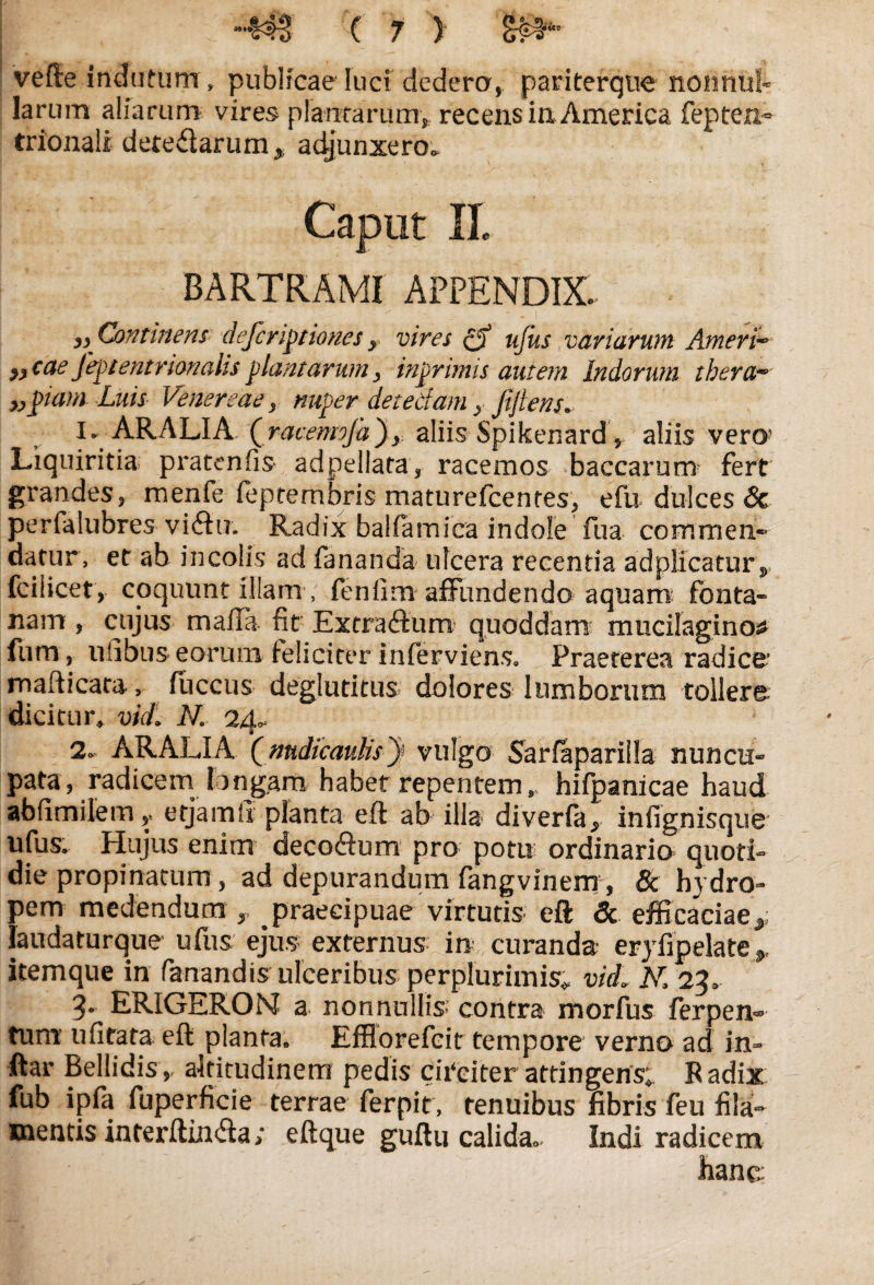vefte indutum , publicae luci dedero, pariterque nonnul¬ larum aliarum vires plantarum, recens ia America fepten,- trionali detedarum, adjunxero. Caput IL BARTRAMI APPENDIX.. »Continens deferipnones y vires eS ufus variarum AmerV » cae feptentrionaiis plantarum, inprimis autem Indorum thera~ „piam Luis Venereae y nuper detedam y jijlens. l* ARALIA Qracemvja)y aliis Spikenard * aliis vero? Liquiritia pratcnfis* adpeilata, racemos baccarum fert grandes, menfe feptembris maturefcentes, efu> dulces & perlalubres vifhr. Radix balla mica indole fua commen¬ datur, et ab incolis ad fananda ulcera recentia a d plicatur ,, fcilicet, coquunt illam , fenfim affundendo aquam fonta¬ nam , cujus maffa fit Extra<ftum quoddam mucilagino^ fum, ulibus eorum feliciter inferviens, Praeterea radica mafticata, fuccus deglutitus dolores lumborum tollere dicitur* vidi K 24* 2« ARALIA (nudicanUsJ vulgo Sarfaparilla nuncu¬ pata, radicem longam habet repentem, hifpanicae haud abfimilem? etjamfi planta eft ab illa diverfa, infignisque ufus. Hujus enim decodhim pro potu ordinario quoti¬ die propinatum, ad depurandum fangvinem , 8c hydro¬ pem medendum ,, praecipuae virtutis eft & efficaciae, laudaturque ufus ejus externus in curanda eryfipelate* itemque in fanandis ulceribus perplurimis* vid„ K 23* 3. ERIGERON a nonnullis* contra morfus ferpen- tum u fi tata eft planta. Effiorefcit tempore verno ad in- ftar Bellidis, altitudinem pedis citeiter attingens; R adix fub ipfa fuperficie terrae ferpit, tenuibus fibris feu fila¬ mentis interftinda; eftque guftu calida. Indi radicem hane