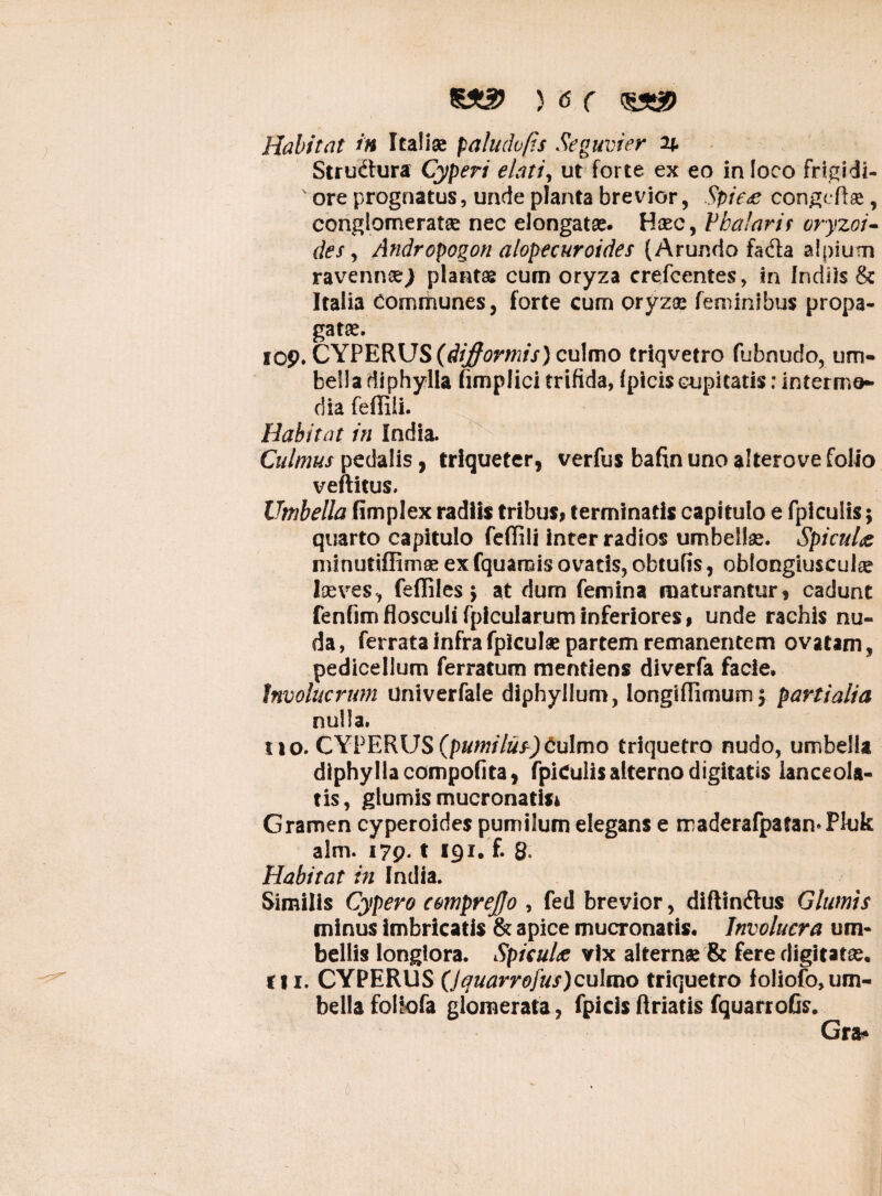 Habitat in Italiae paludvfis Seguvier 2j. Stru&ura Cyperi elati, ut forte ex eo in loco frigidi- v ore prognatus, unde planta brevior, $pie<e congeflae, conglomeratae nec elongatae. Haec, Vbalaris oryzoi- des, Andropogon alopecuroides (Arundo fadta alpiutn ravennaej plantas cum oryza crefcentes, in Indiis & Italia Communes, forte cum oryzae feminibus propa¬ gatae. iop. CYPERUS (dijfformis) culmo triqvetro fubnudo, um¬ bella diphylla fimplici trifida, (piciscupitatis: interme- dia feffiii. Habitat in India. Culmus pedalis, triqueter, verfus bafin uno alterove folio veftitus. Umbella fimplex radiis tribus* terminatis capitulo e fpiculis; quarto capitulo feffiii inter radios umbellae. Spicula minutiffimae ex fquamis ovatis, obtufis, oblongiusculae laeves, feffiles \ at dum femina maturantur* cadunt fenfimflosculifpicularuminferiores# unde rachis nu¬ da , ferrata infra fpiculae partem remanentem ovatam, pedicellum ferratum mentiens diverfa facie. Involucrum Univerfale diphyllum, longiffimum j partialia nulla. no. CYPERUS (p»w/7z/j9Culmo triquetro nudo, umbella diphylla compofita, fpiCulis alterno digitatis lanceola- tis, glumis mucronatis* Gramen cyperoides pumilum elegans e maderafpatamPkjk alm. 179. t 191, f. 8, Habitat in India. Similis Cypero cmprejlo , fed brevior, diftinftus Glumis minus imbricatis & apice mucronatis. Involucra um¬ bellis longiora. Spicula vix alternae & fere digitatae, 111. CYPERUS (Jquarrofus)culmo triquetro ioliofo, um¬ bella foliofa glomerata, fpicis ftriatis fquarrofis. Gr&>